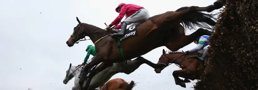 Grand National 2019 Antepost Tiger Roll