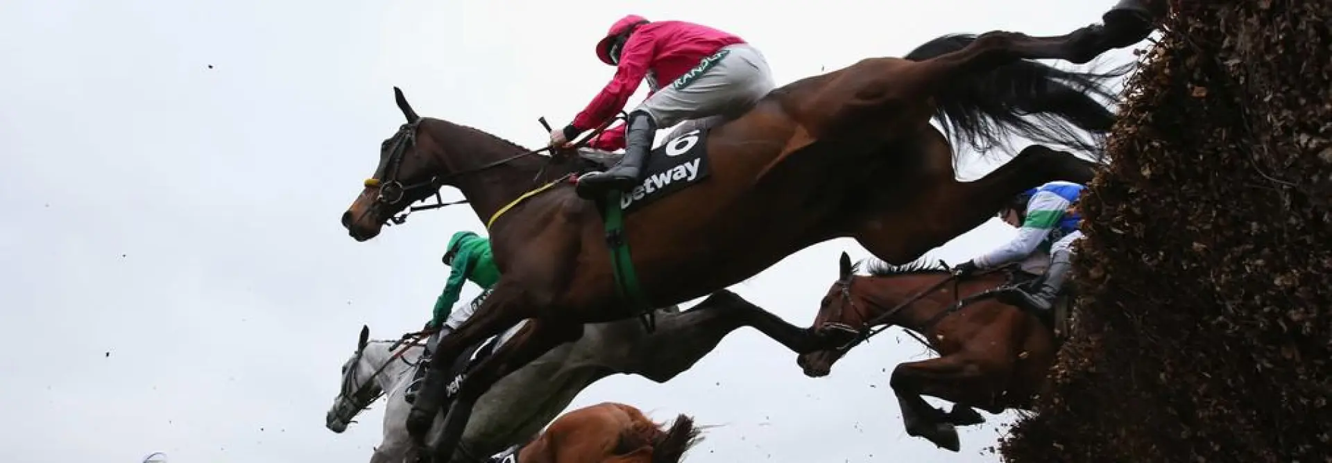 Grand National 2019 Antepost Tiger Roll