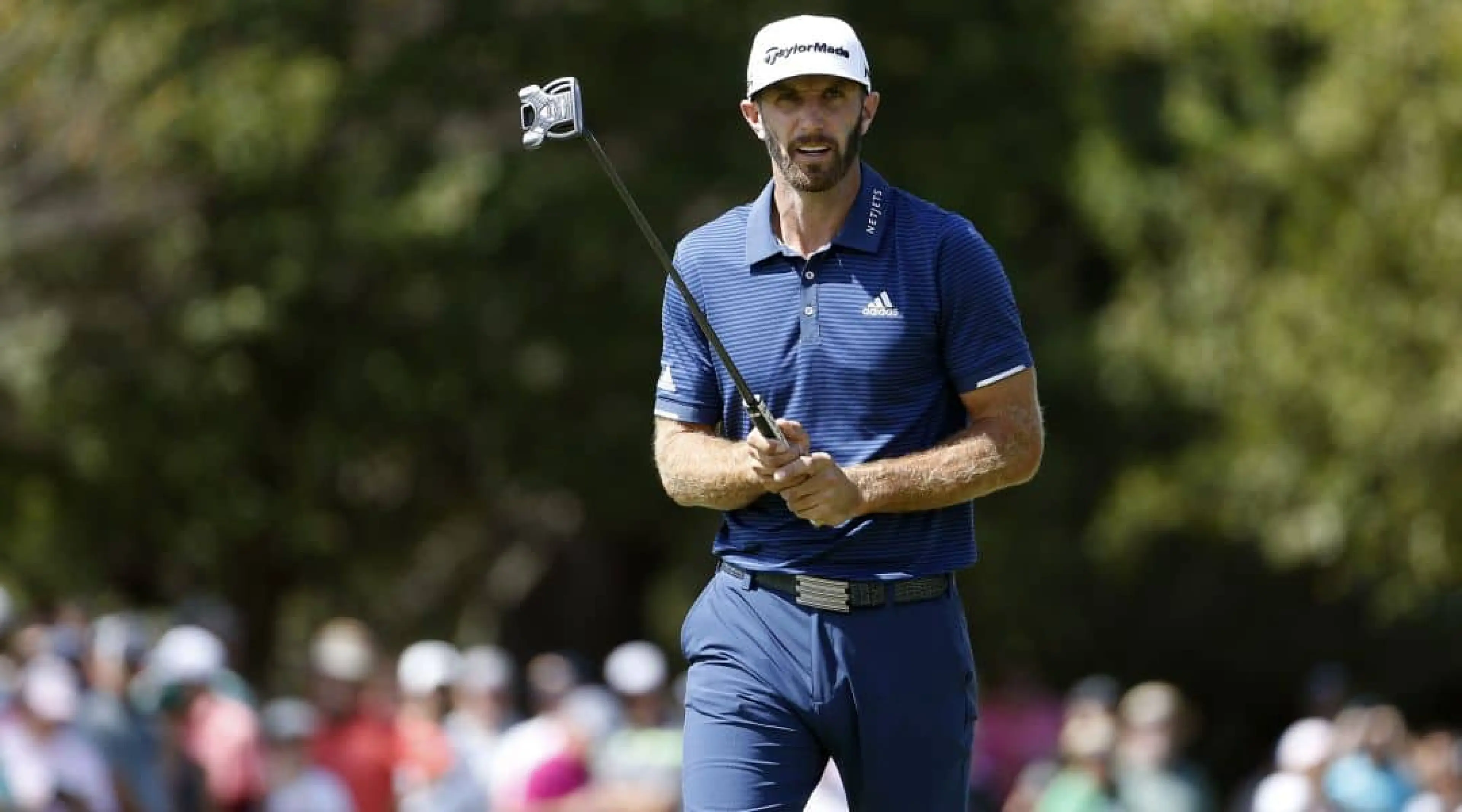 Dustin Johnson Golf Odds