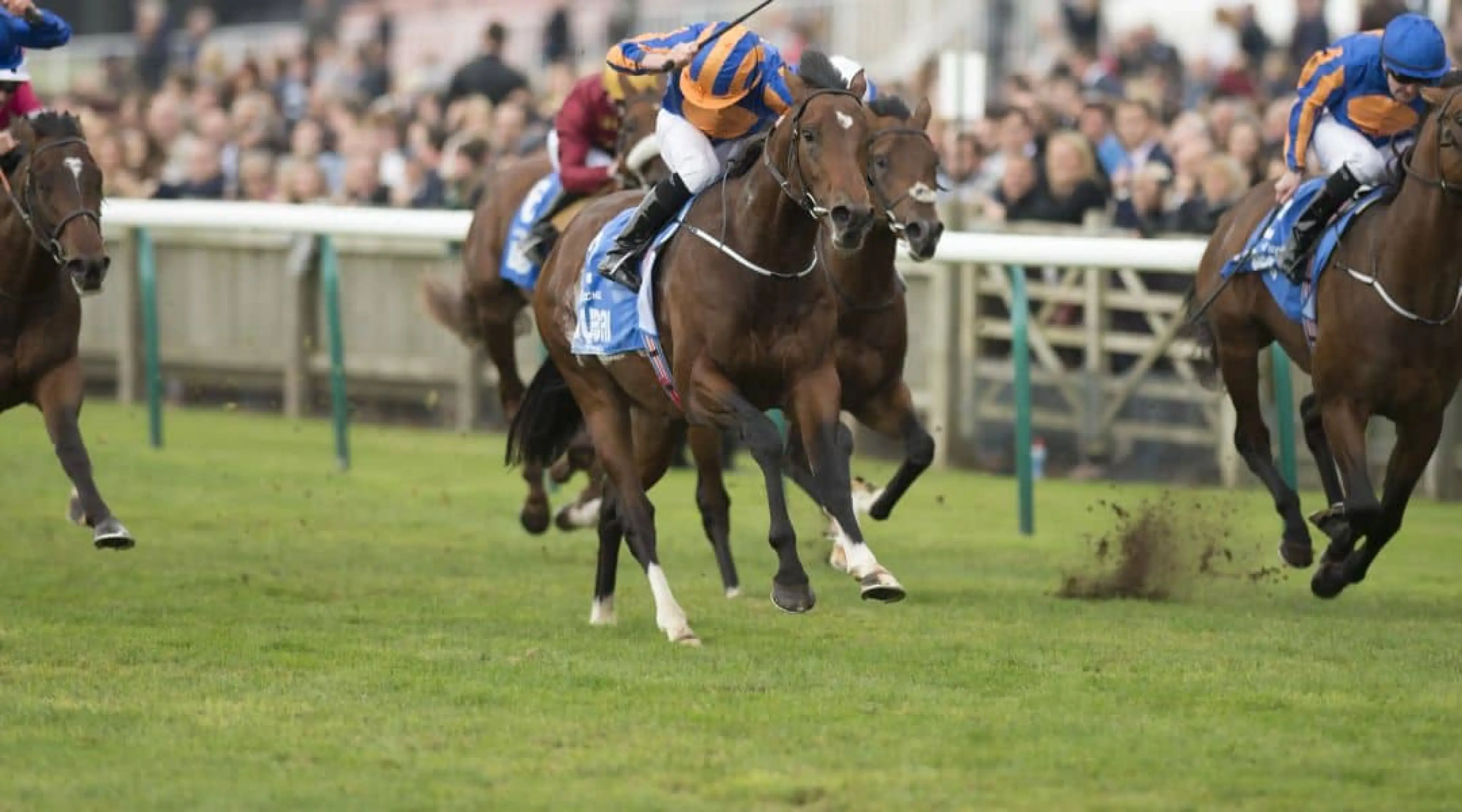 Horse racing 2000 Guinea