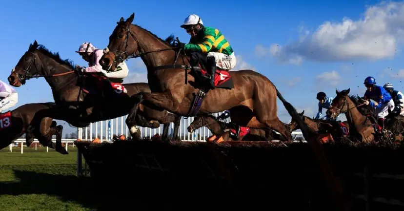 Minella Rocco to win Grand National