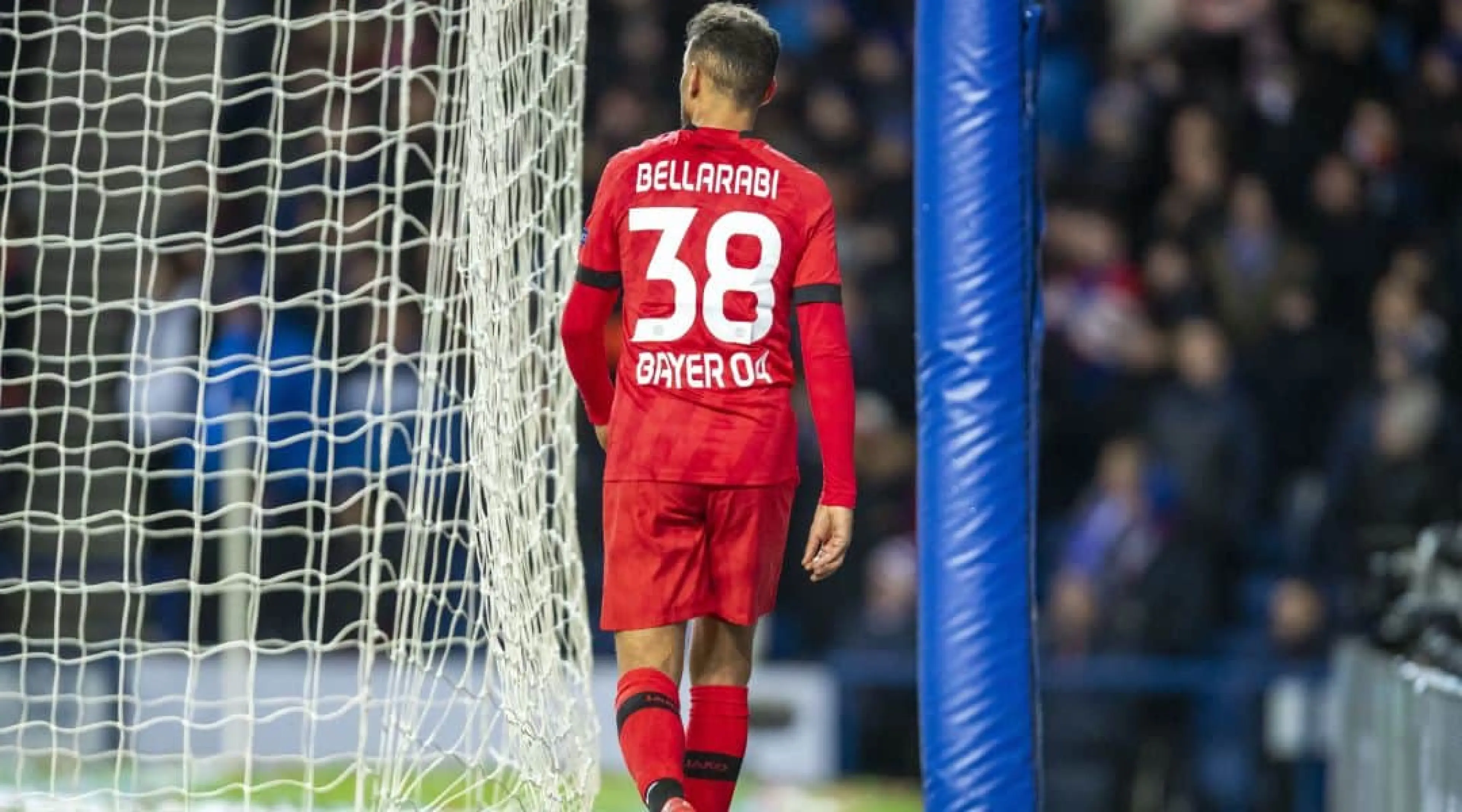 Bellarabi