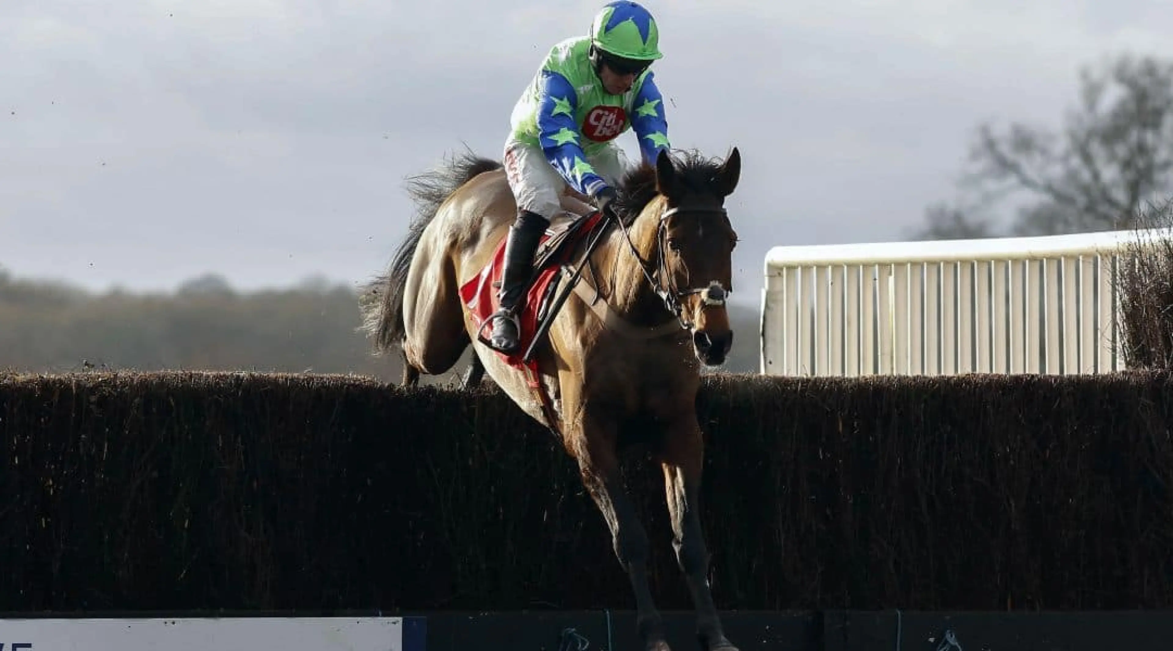 American Horse Racing