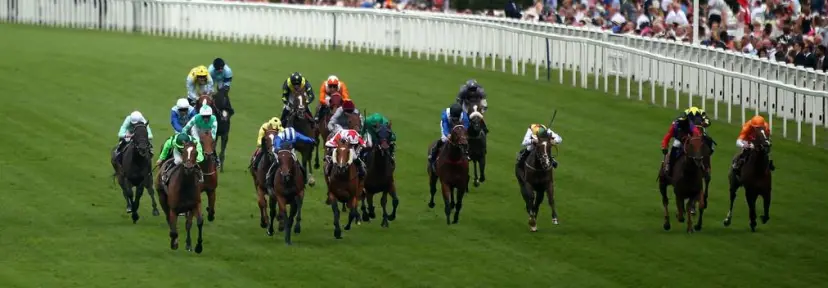 Royal Ascot day 2 tips