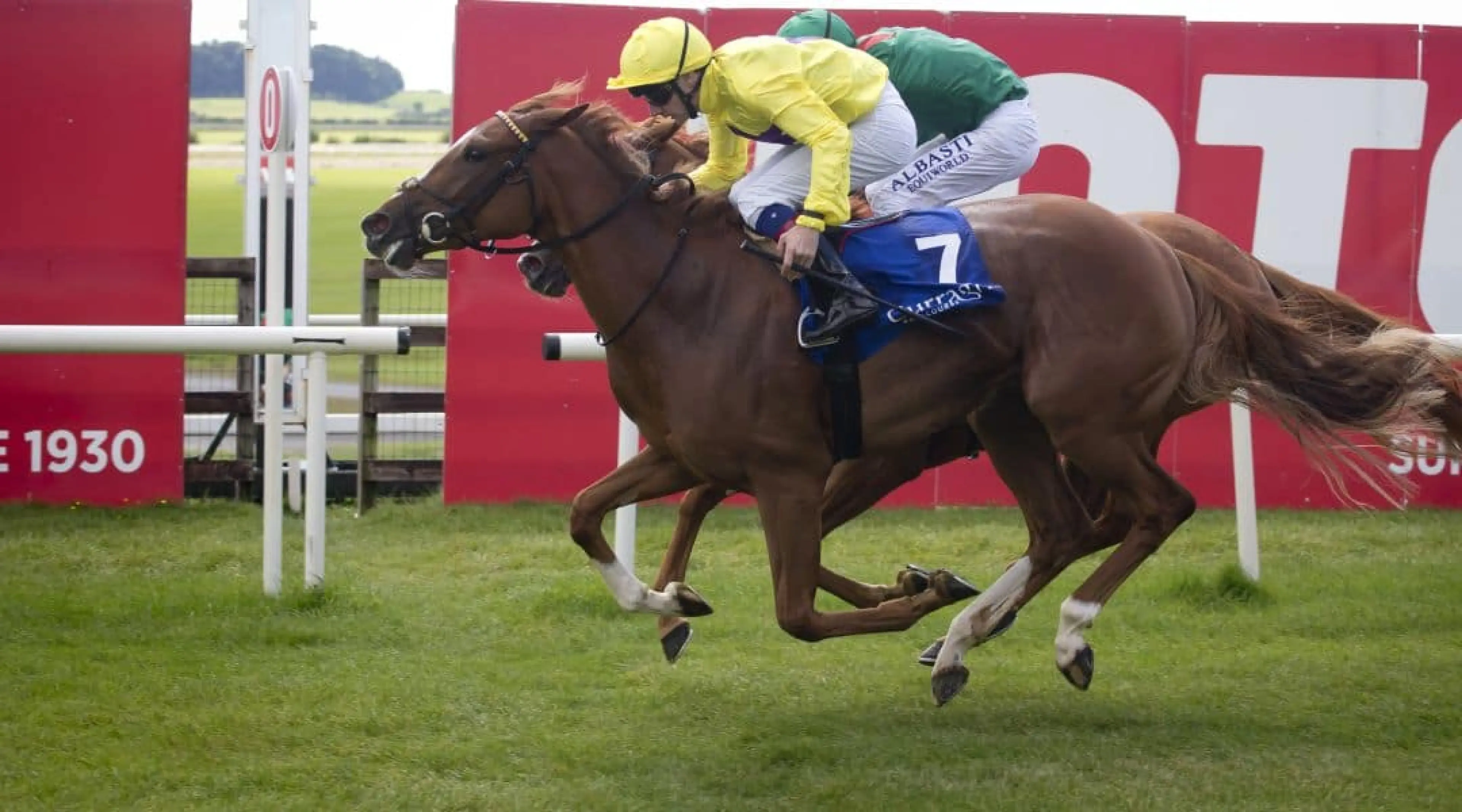 Sea Of Grace - Newmarket odds