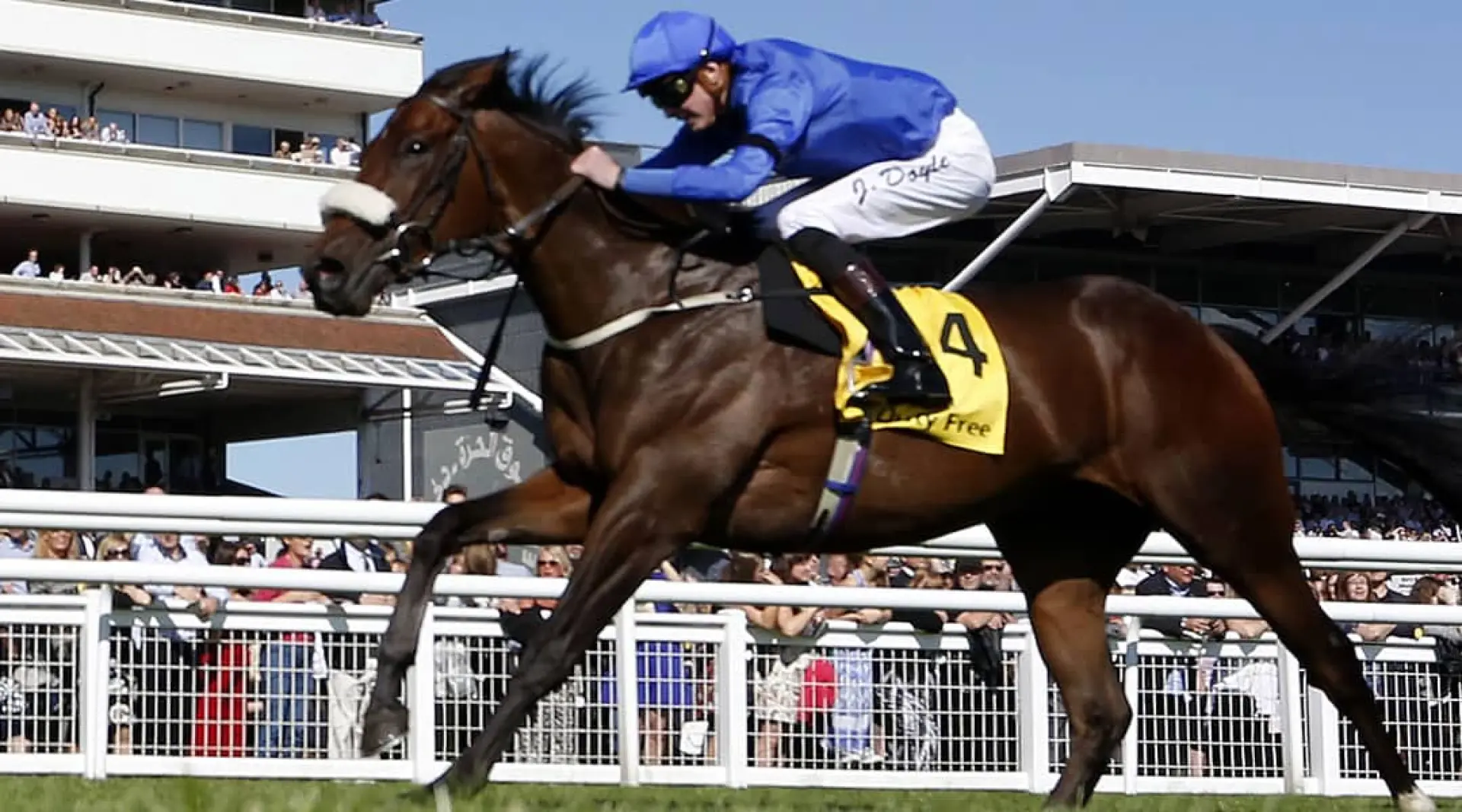 Airforce Blue 2000 Guineas odds