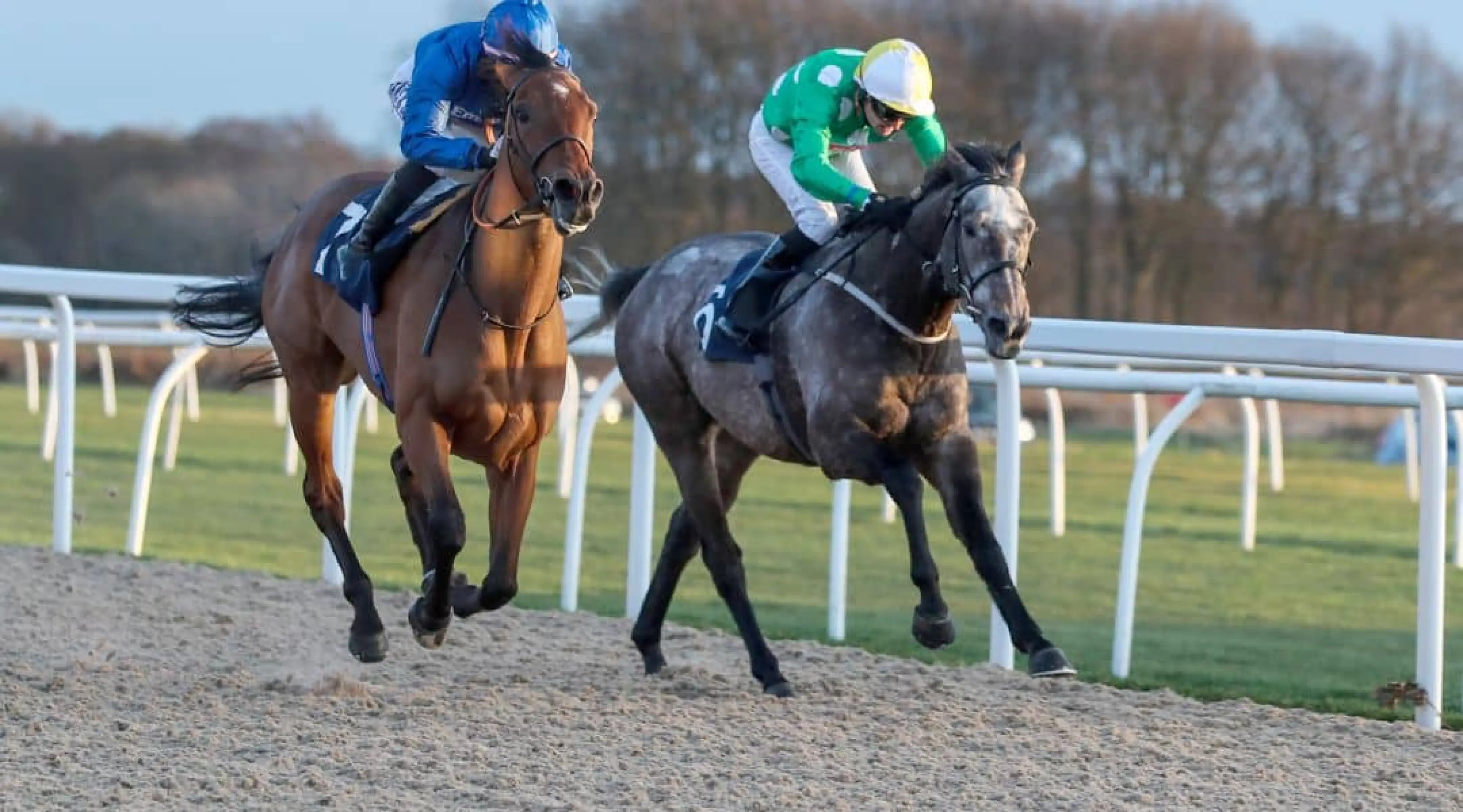 Northumberland Plate odds