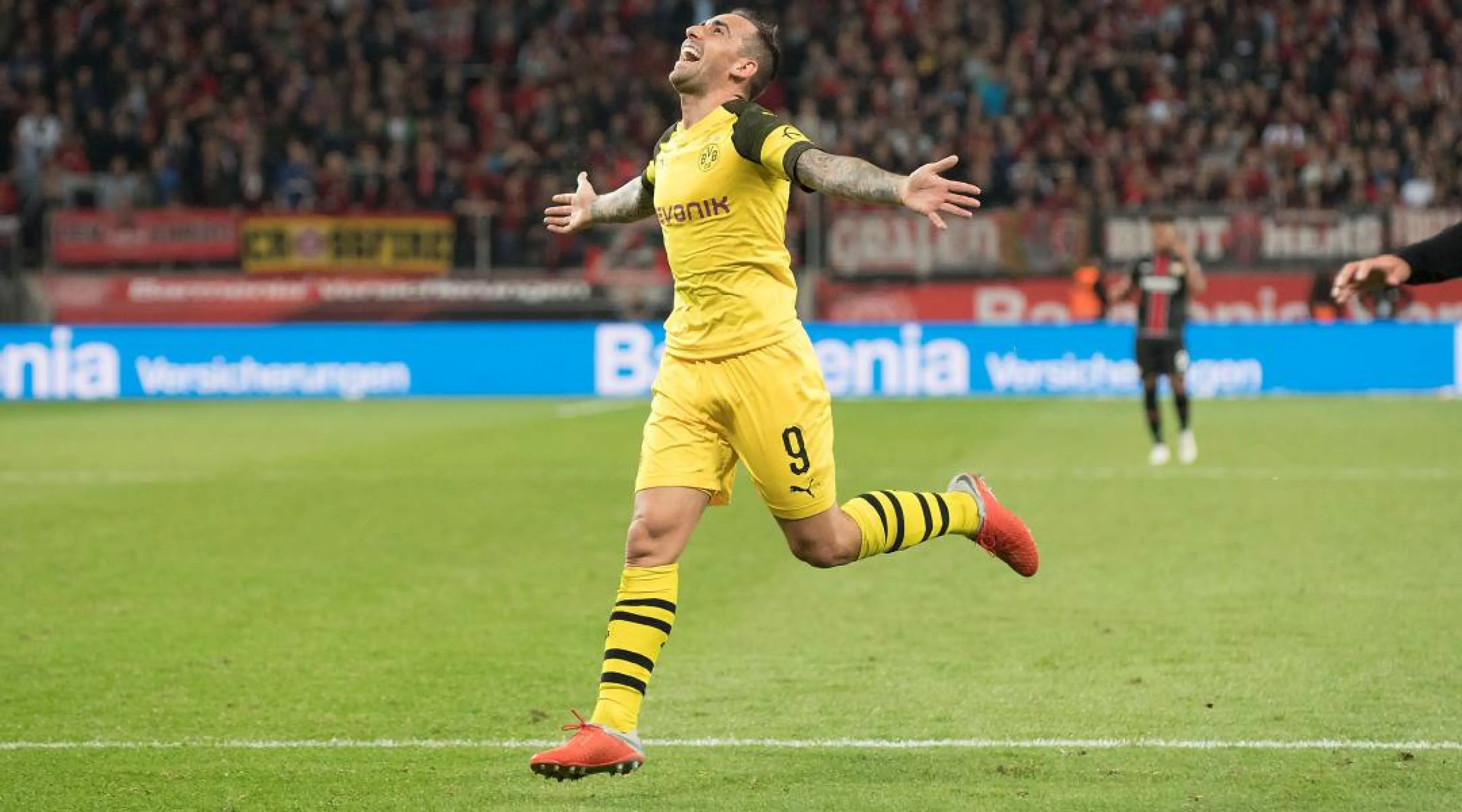 Paco Alcacer - Dortmund