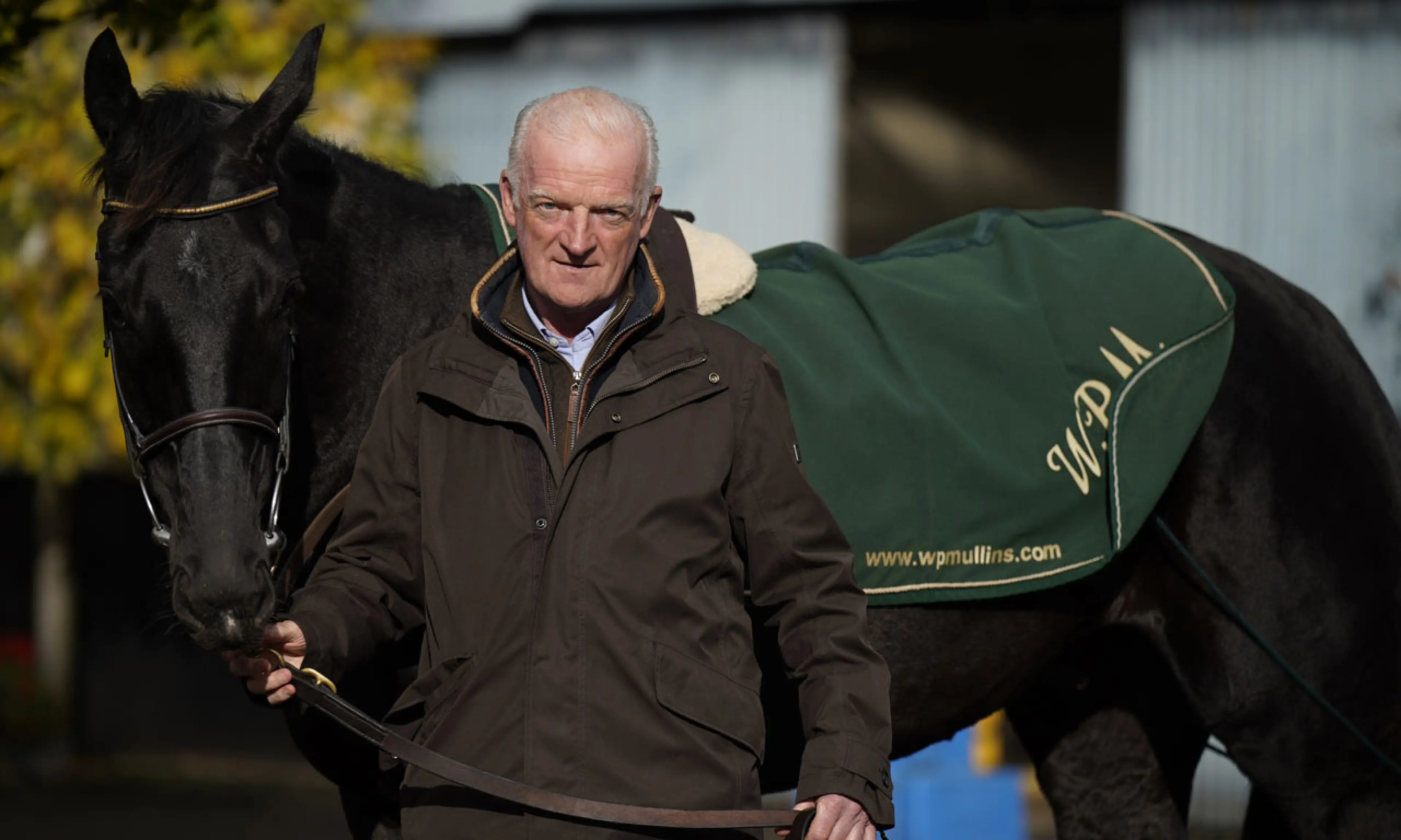 Galopin Des Champs, Willie Mullins