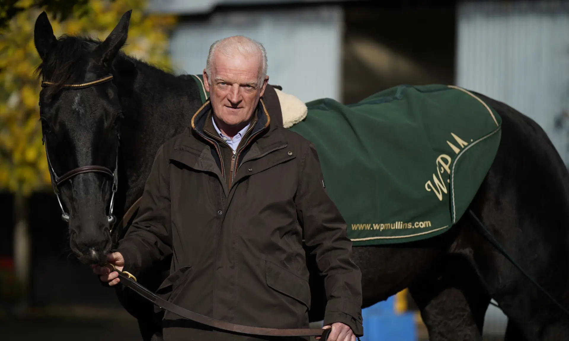 Galopin Des Champs, Willie Mullins