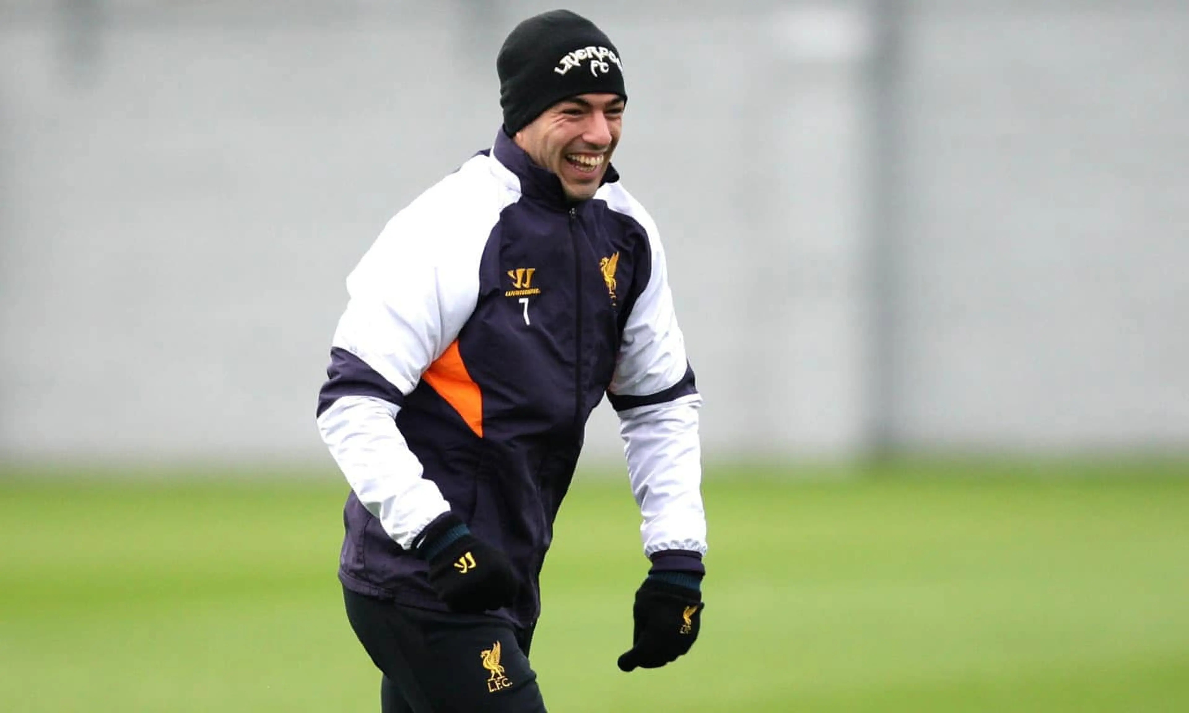 Luis Suarez, Best Premier League signings in January