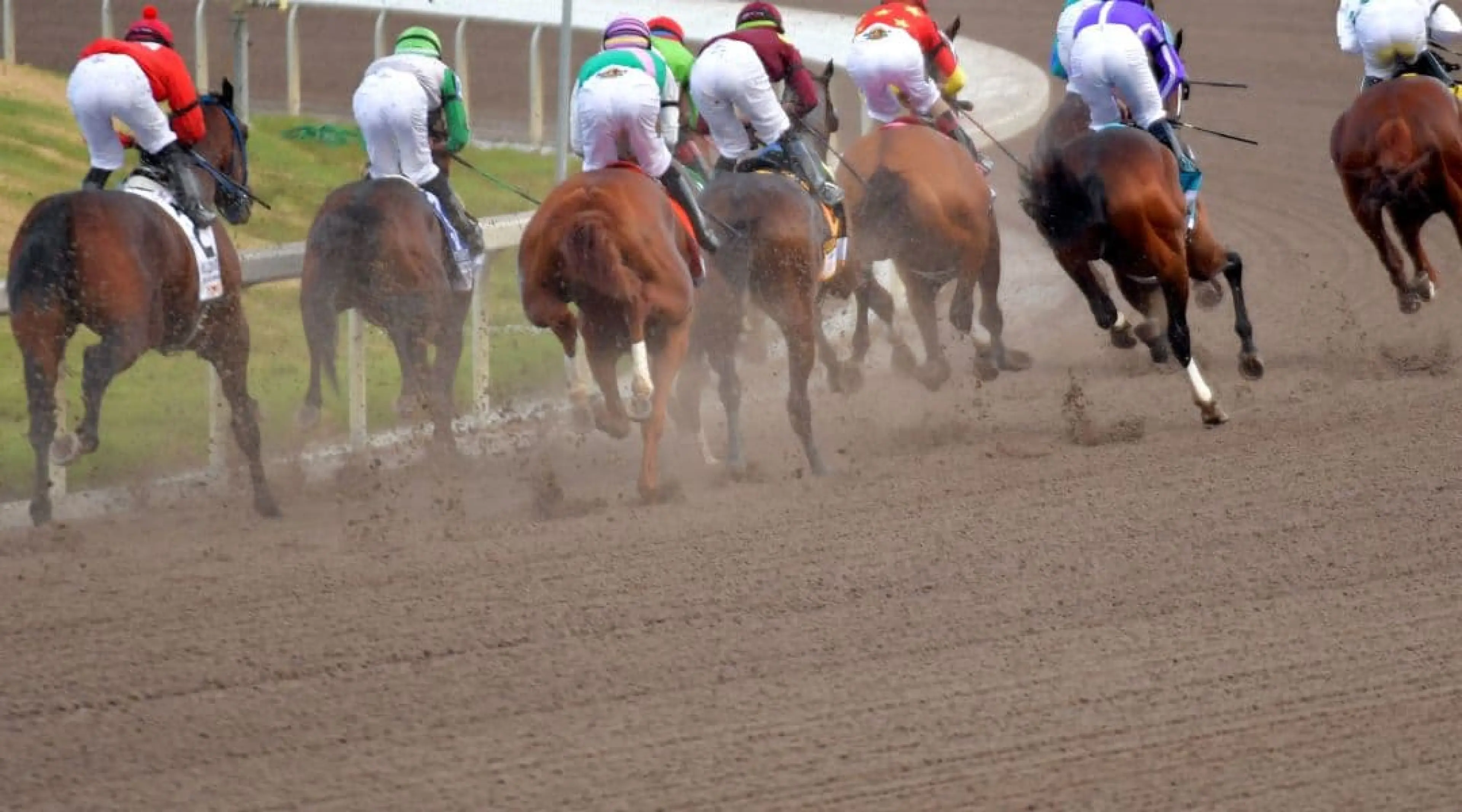 Dirt Horse Racing