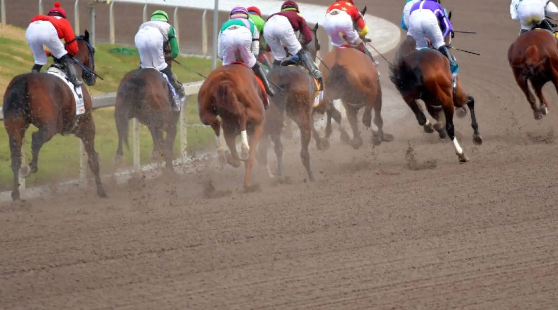 Dirt Horse Racing