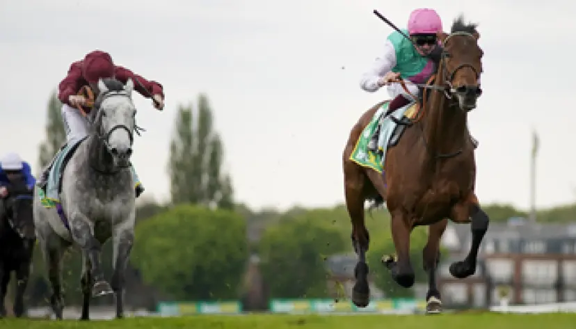 Irish Derby 2022 runners, Irish Derby 2022 tips, horse racing