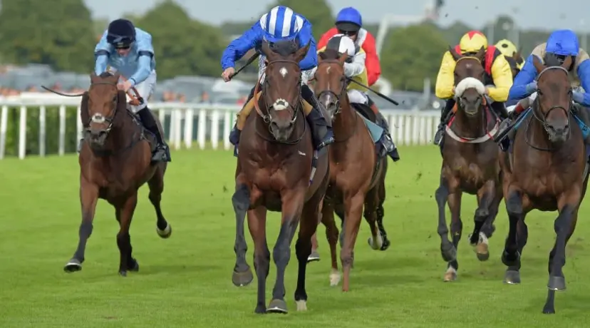 Royal Ascot odds