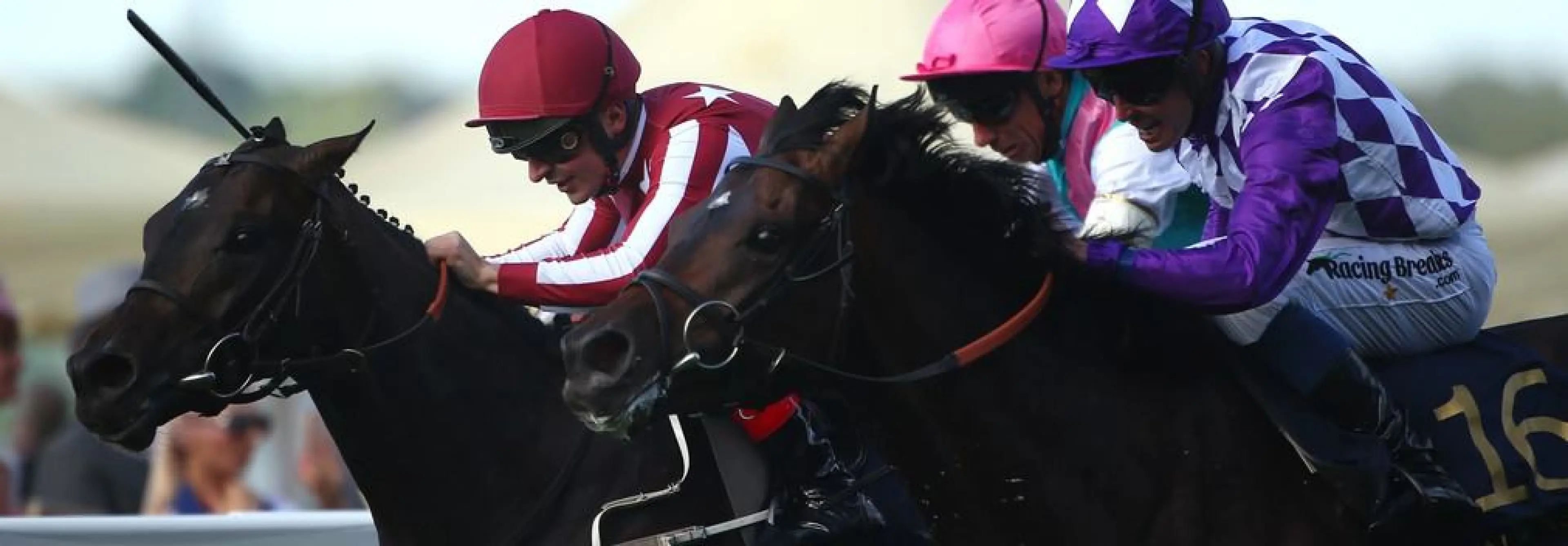 Ascot Gold Cup day tips