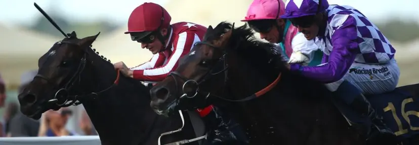 Ascot Gold Cup day tips