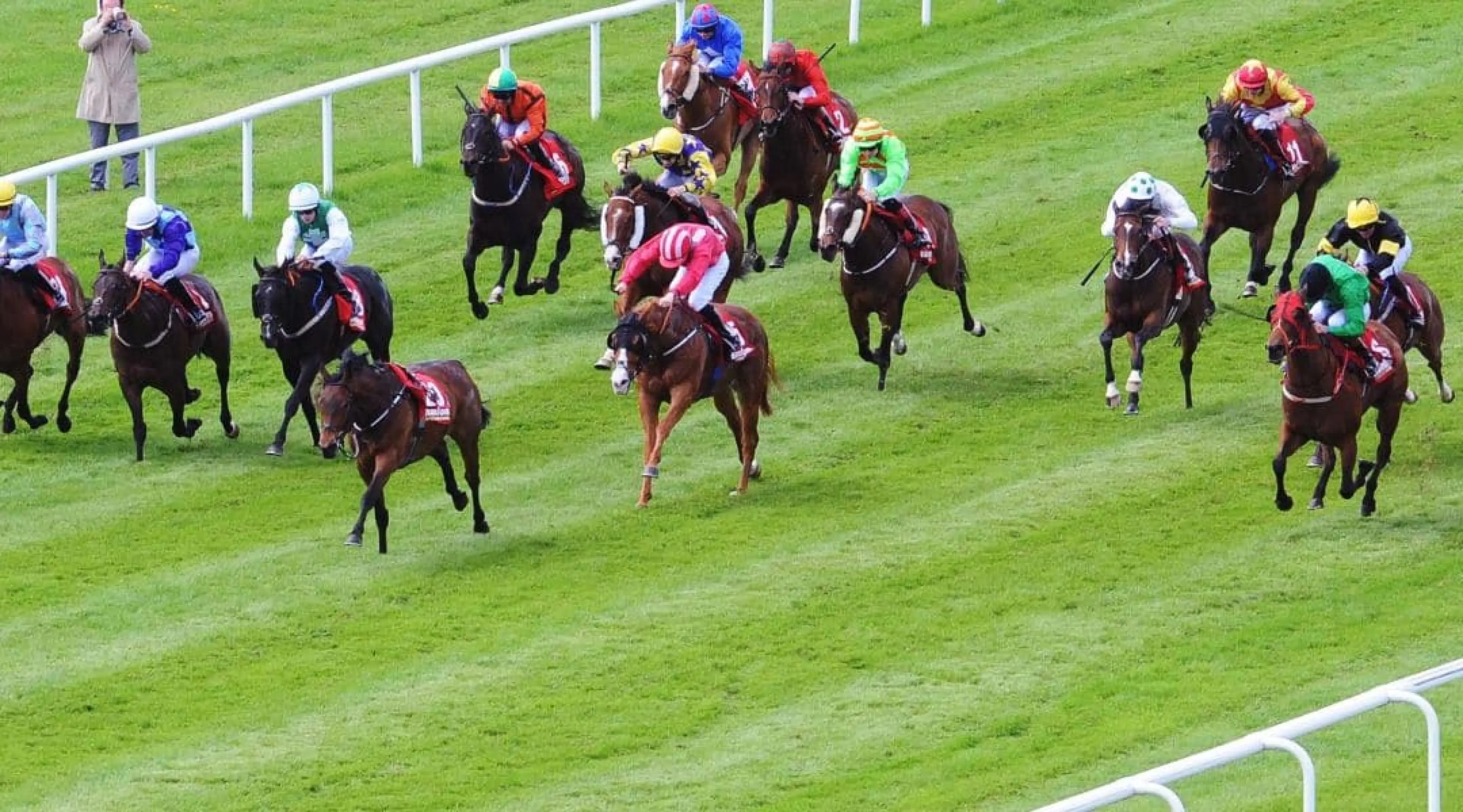 The Curragh