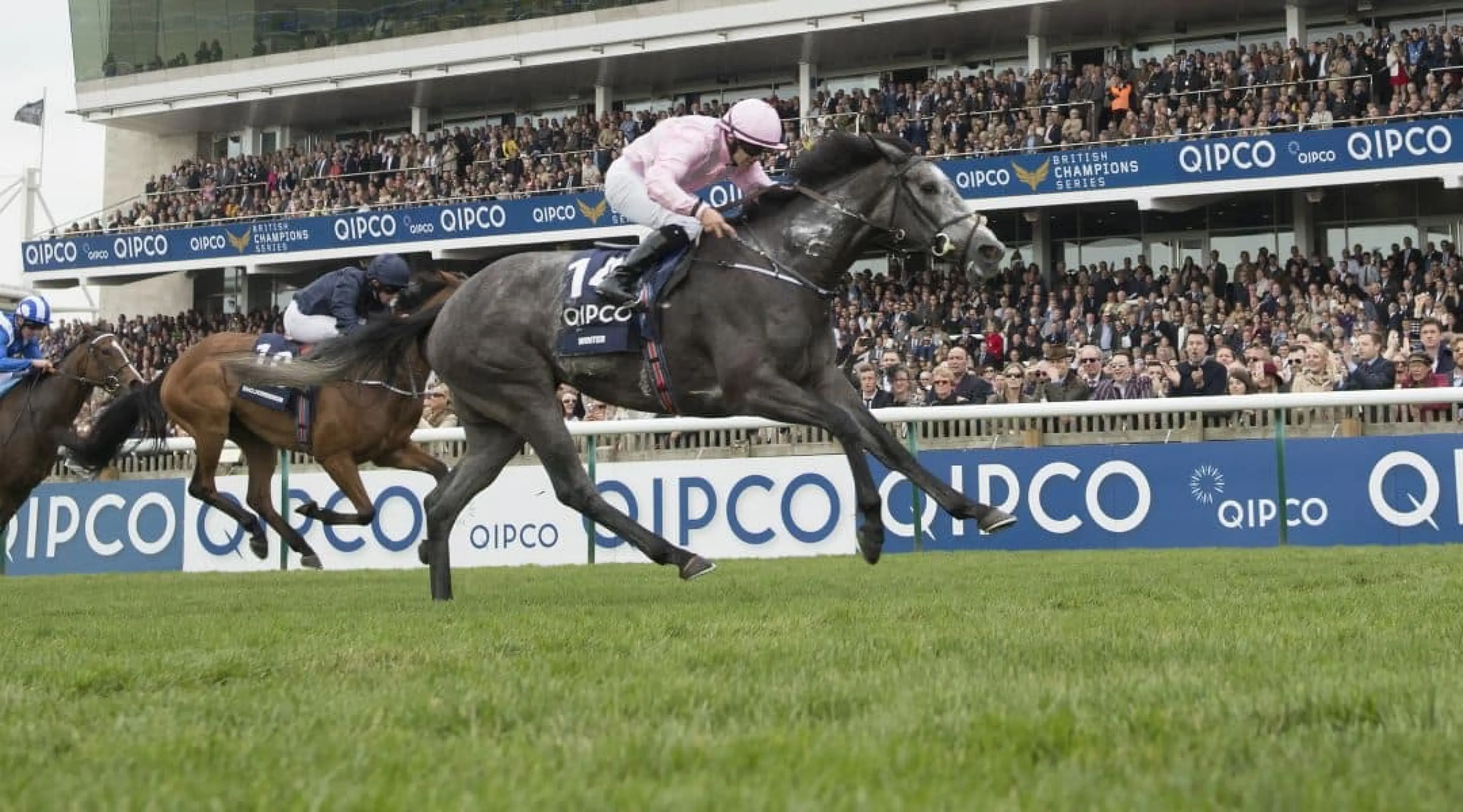 Epsom Oaks - Winter odds