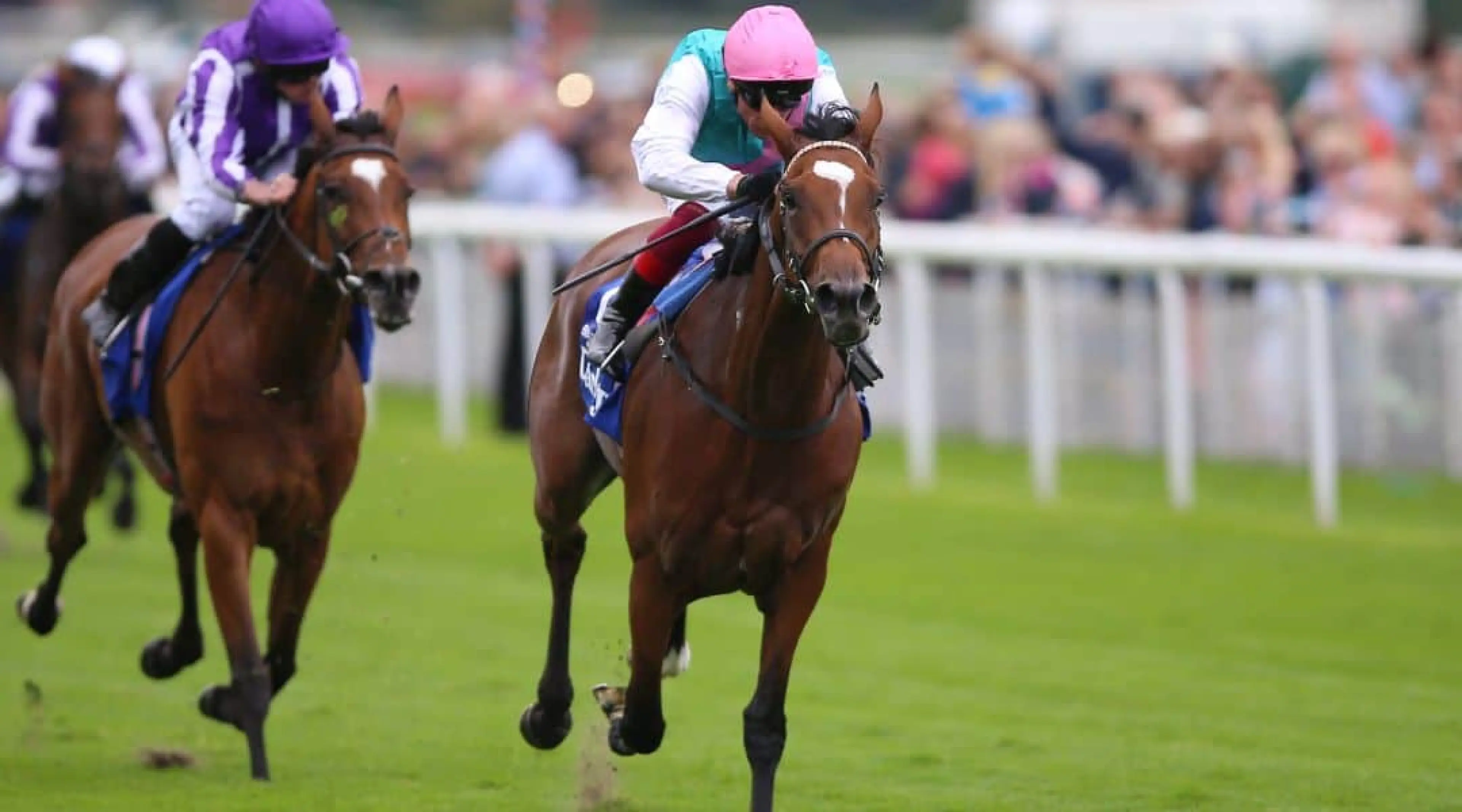 Enable