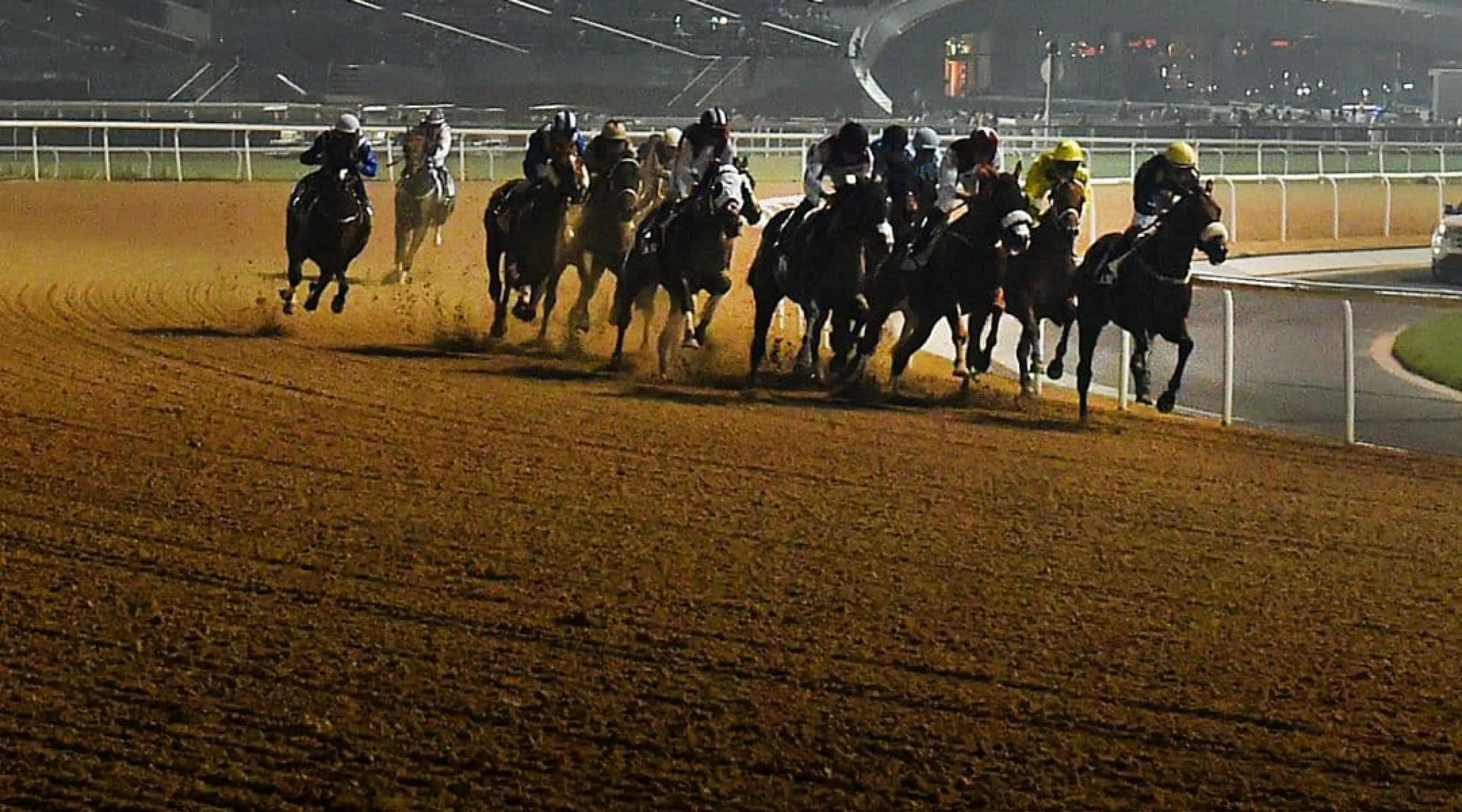 Dubai World Cup night odds - Meydan