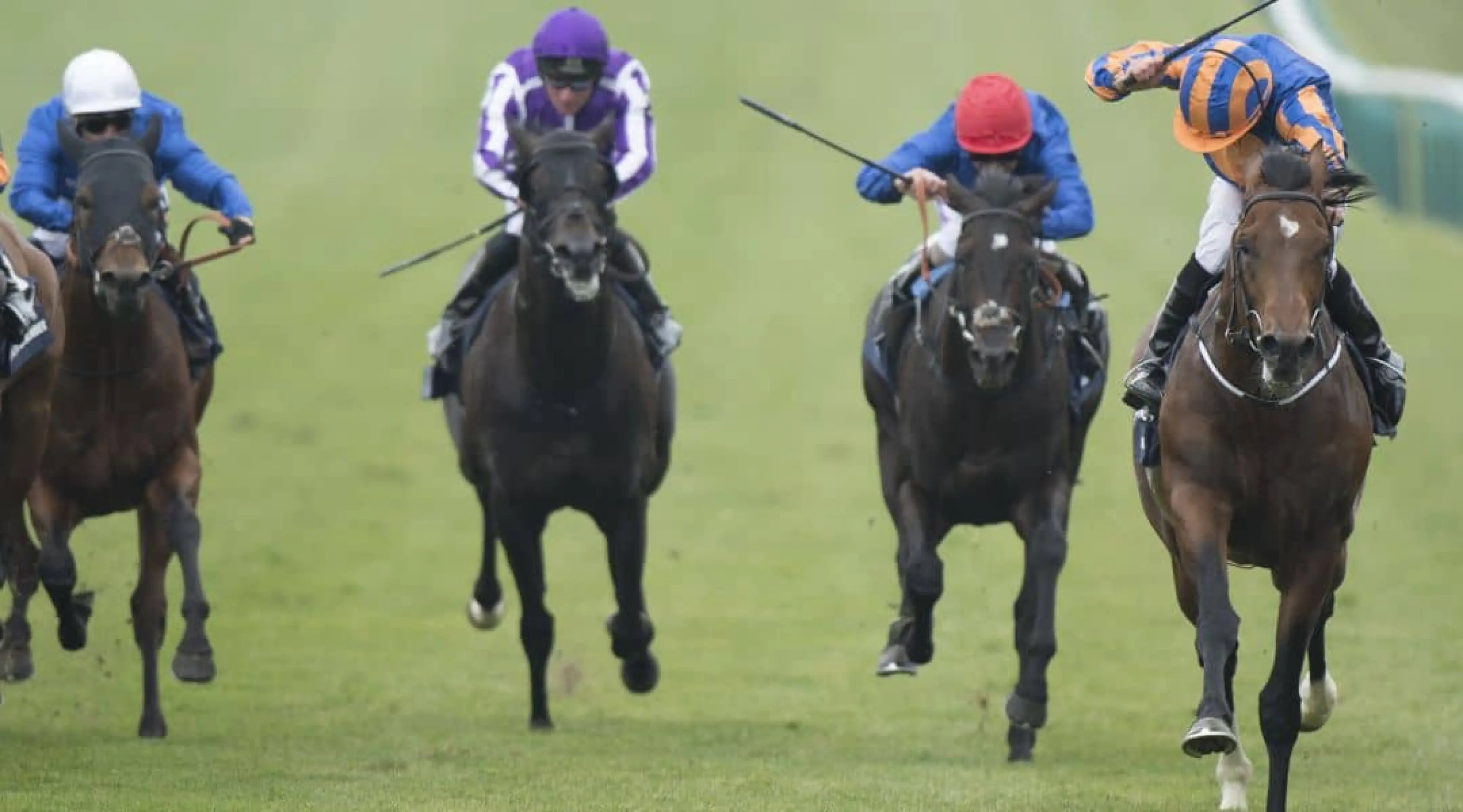 2000 Guineas winner - odds