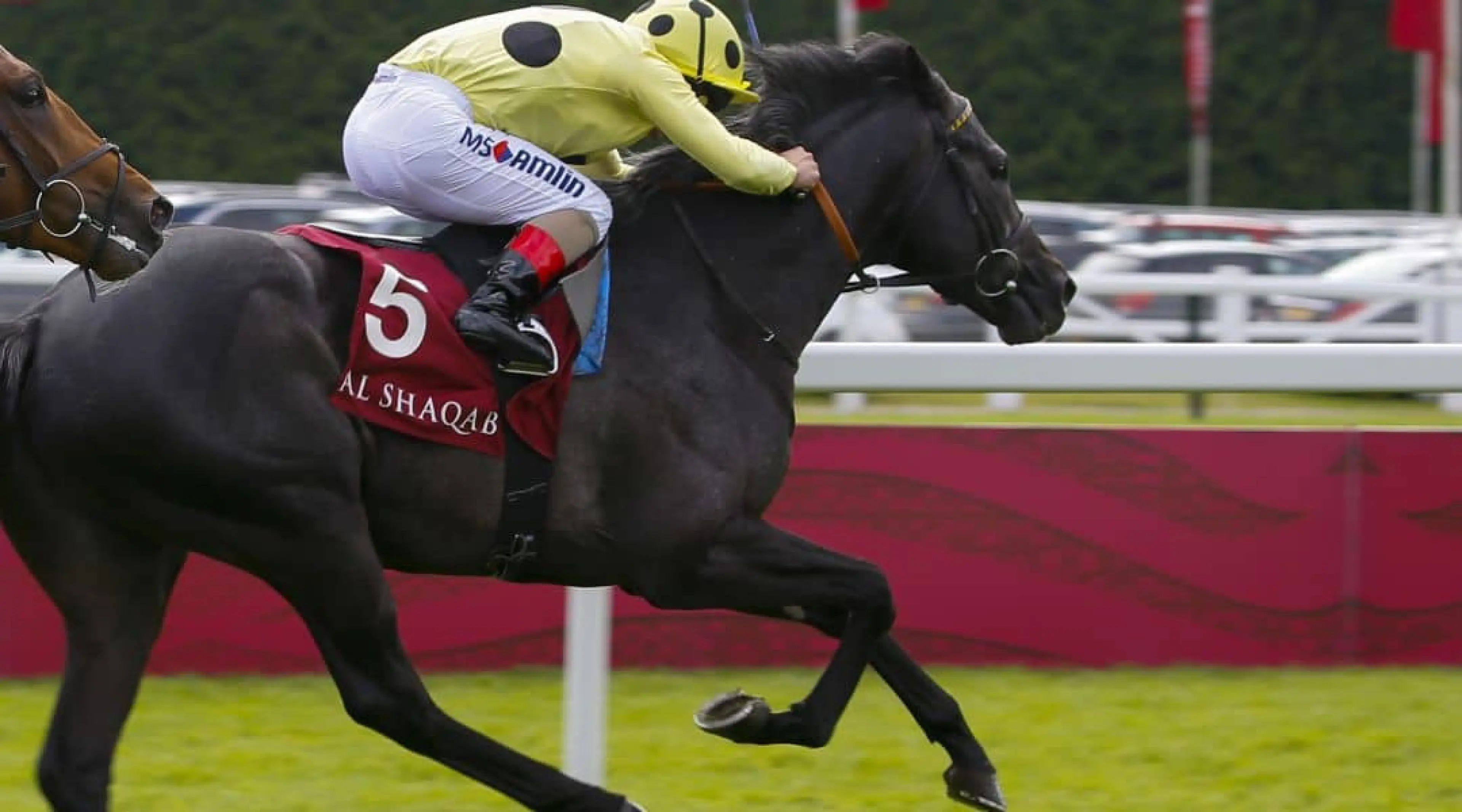 St Leger odds