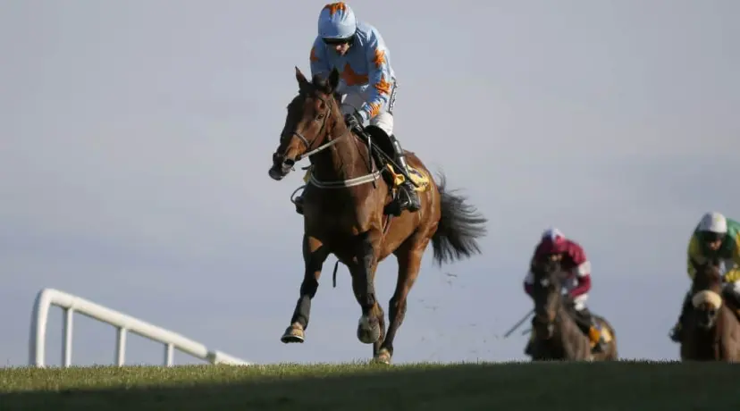 Un De Sceaux horse