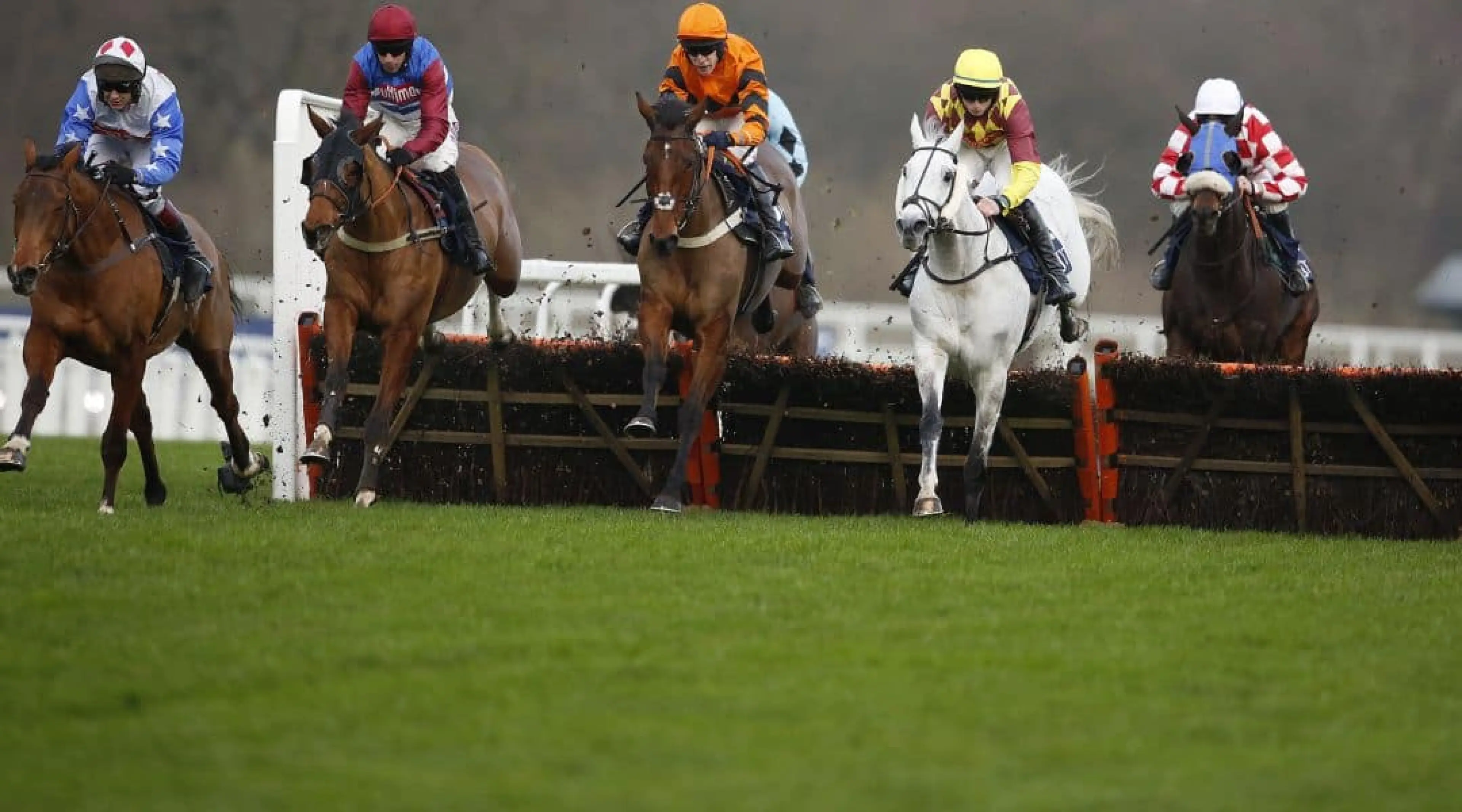 Thistlecrack odds, Ladbrokes Winter Carnival odds, Newbury odds