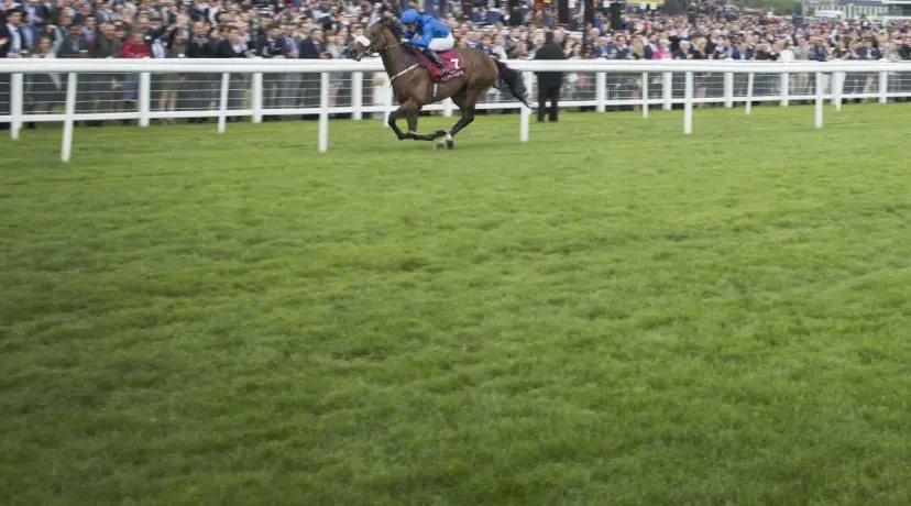 Ribchester Royal Ascot odds