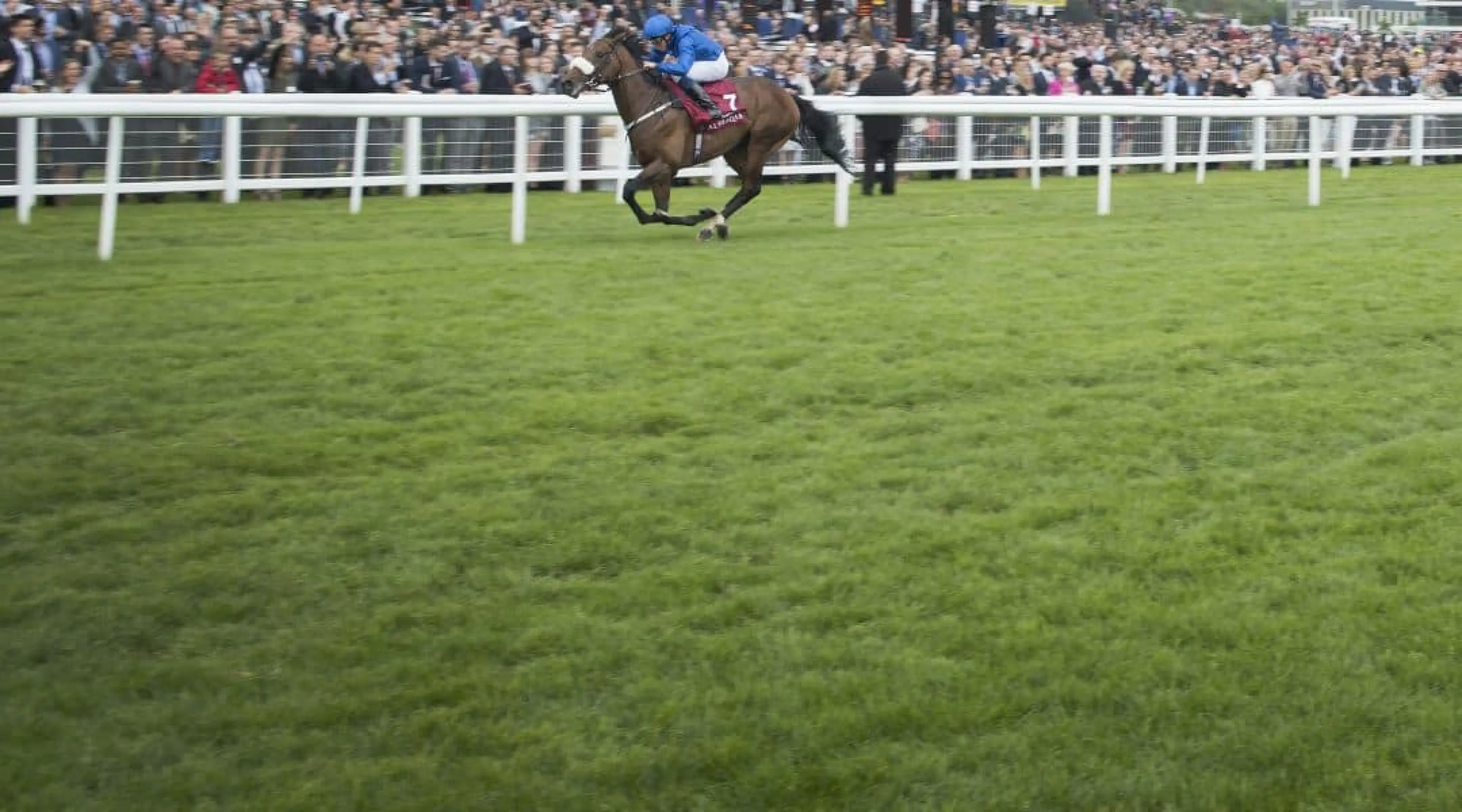 Ribchester Royal Ascot odds