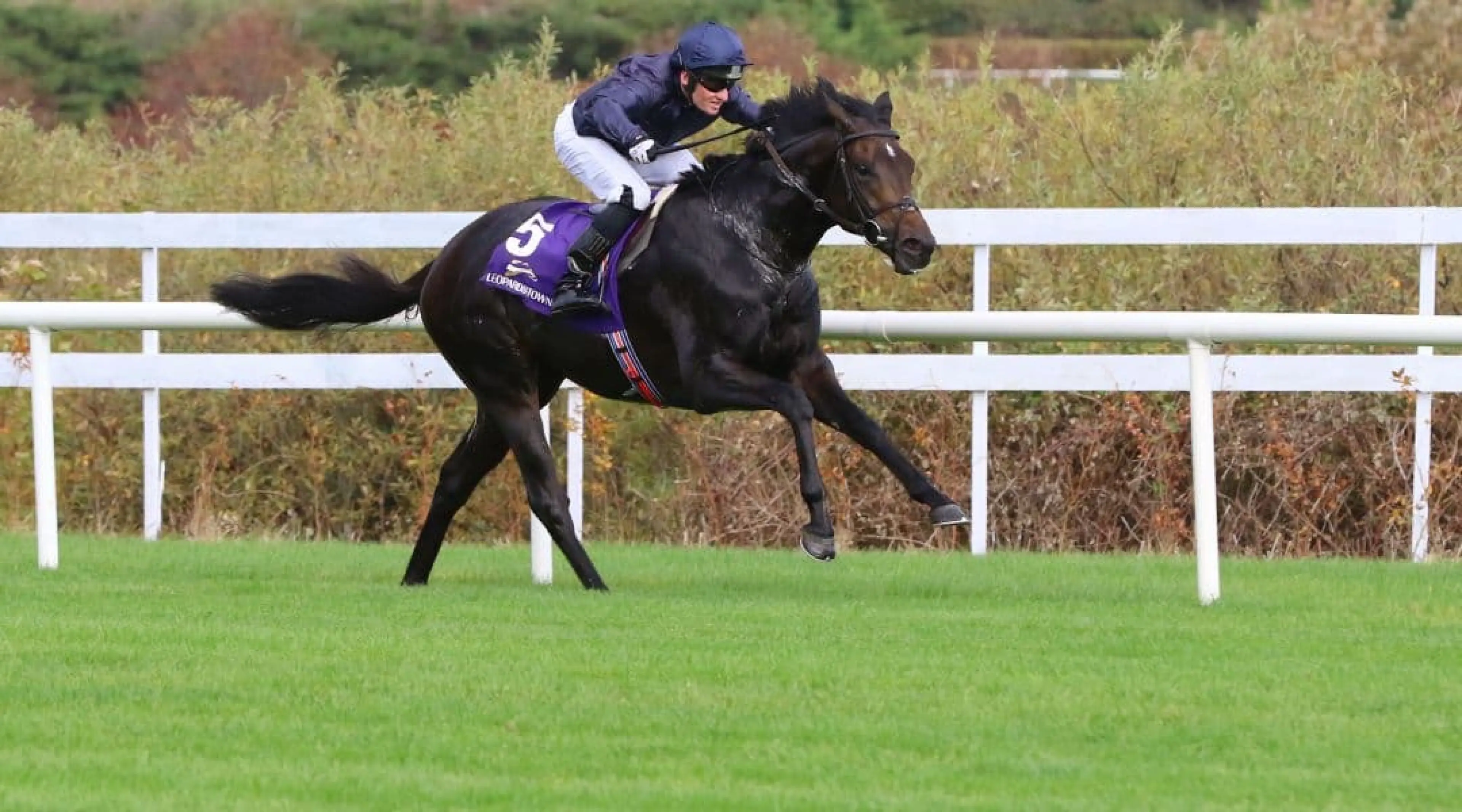 Coral-Eclipse odds