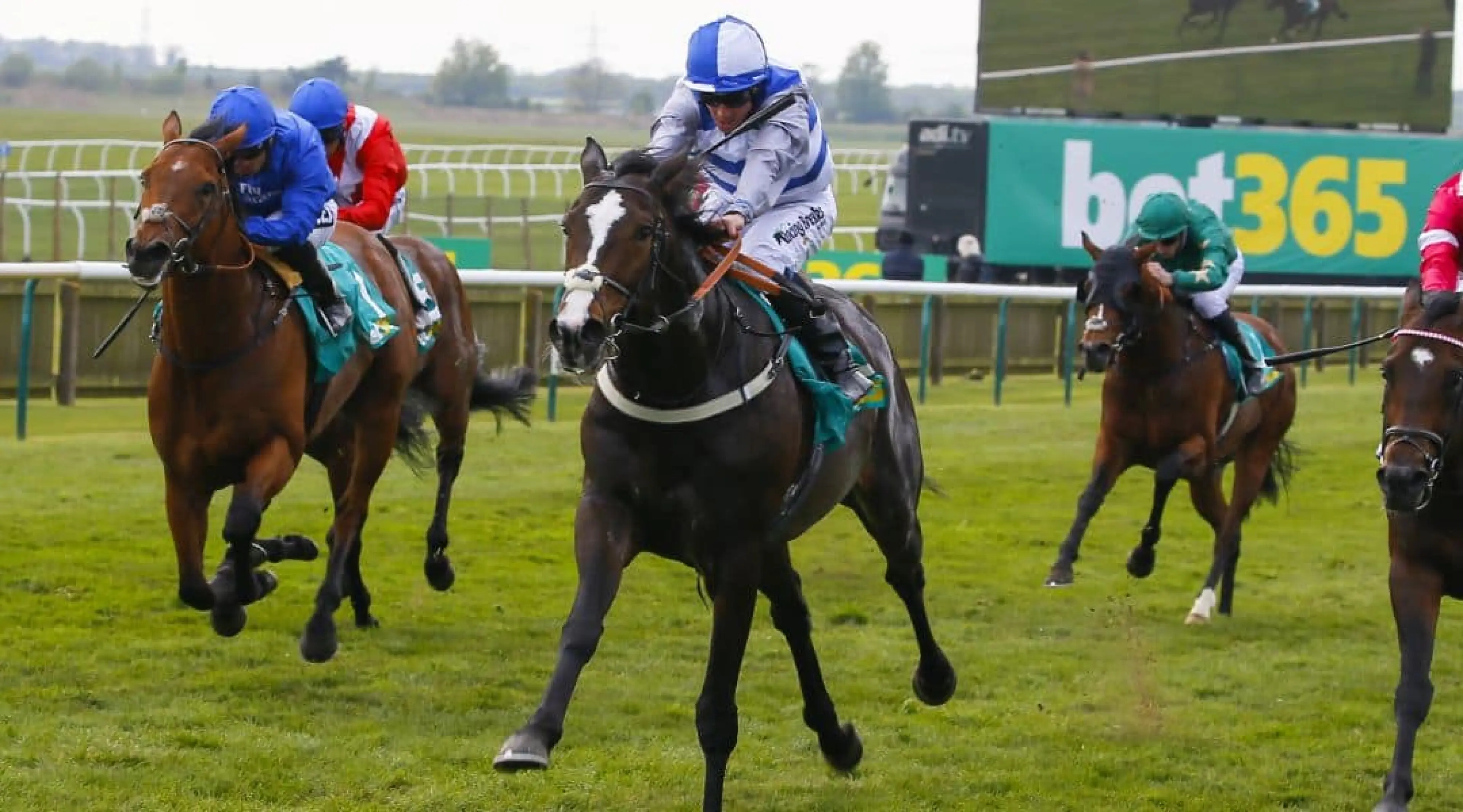 Coral-Eclipse odds