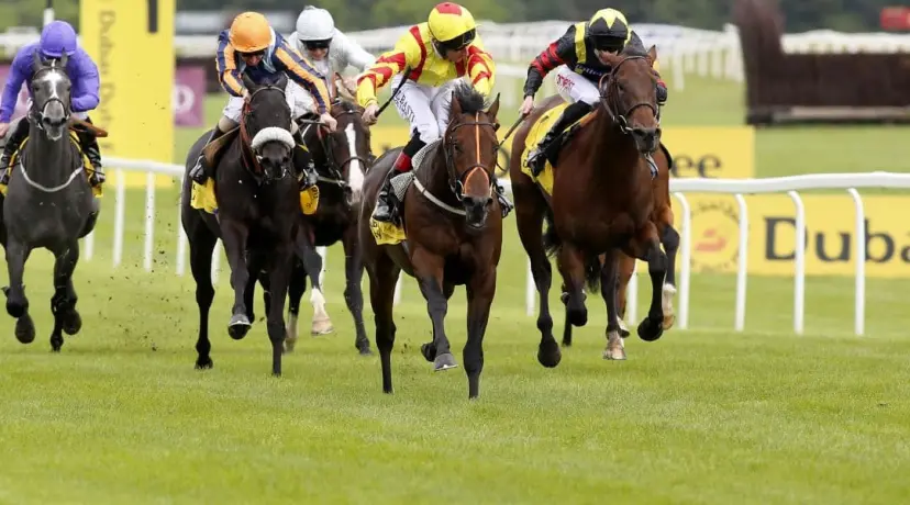 Harry Angel odds, Haydock Sprint Cup odds