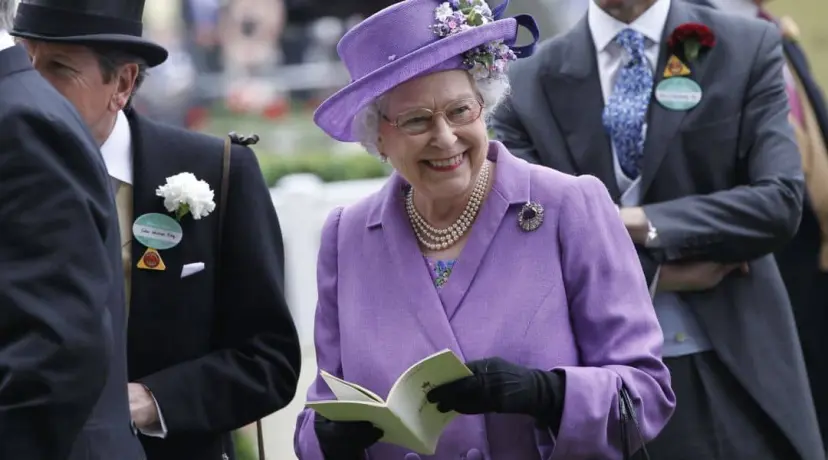 Queen's Hat odds