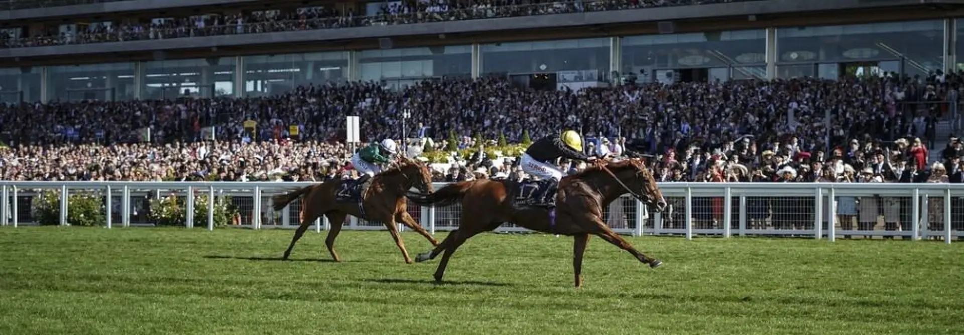 Ascot Gold Cup 2019 results