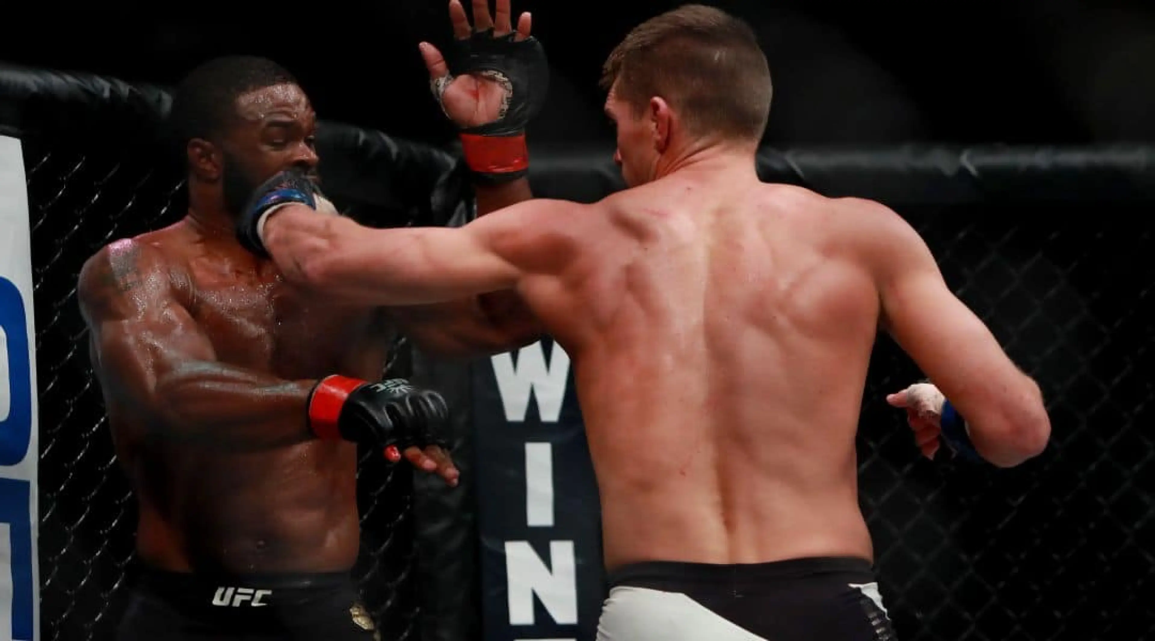 UFC 209 odds