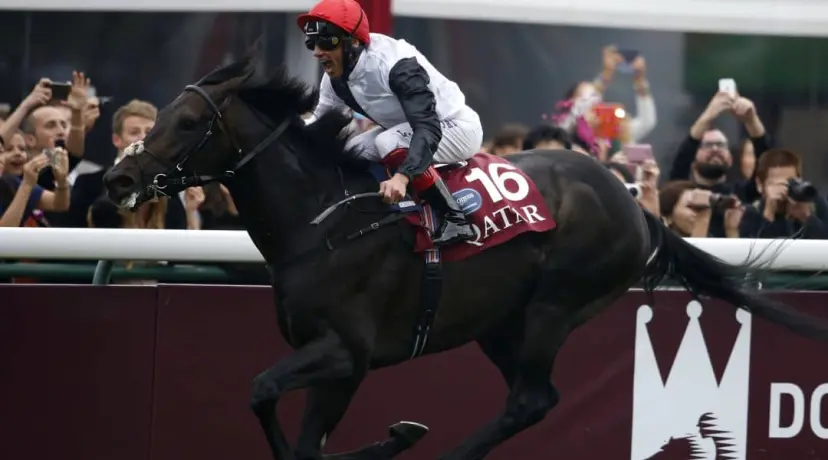 Golden Horn winning the 2015 Prix De L'Arc De Triomphe