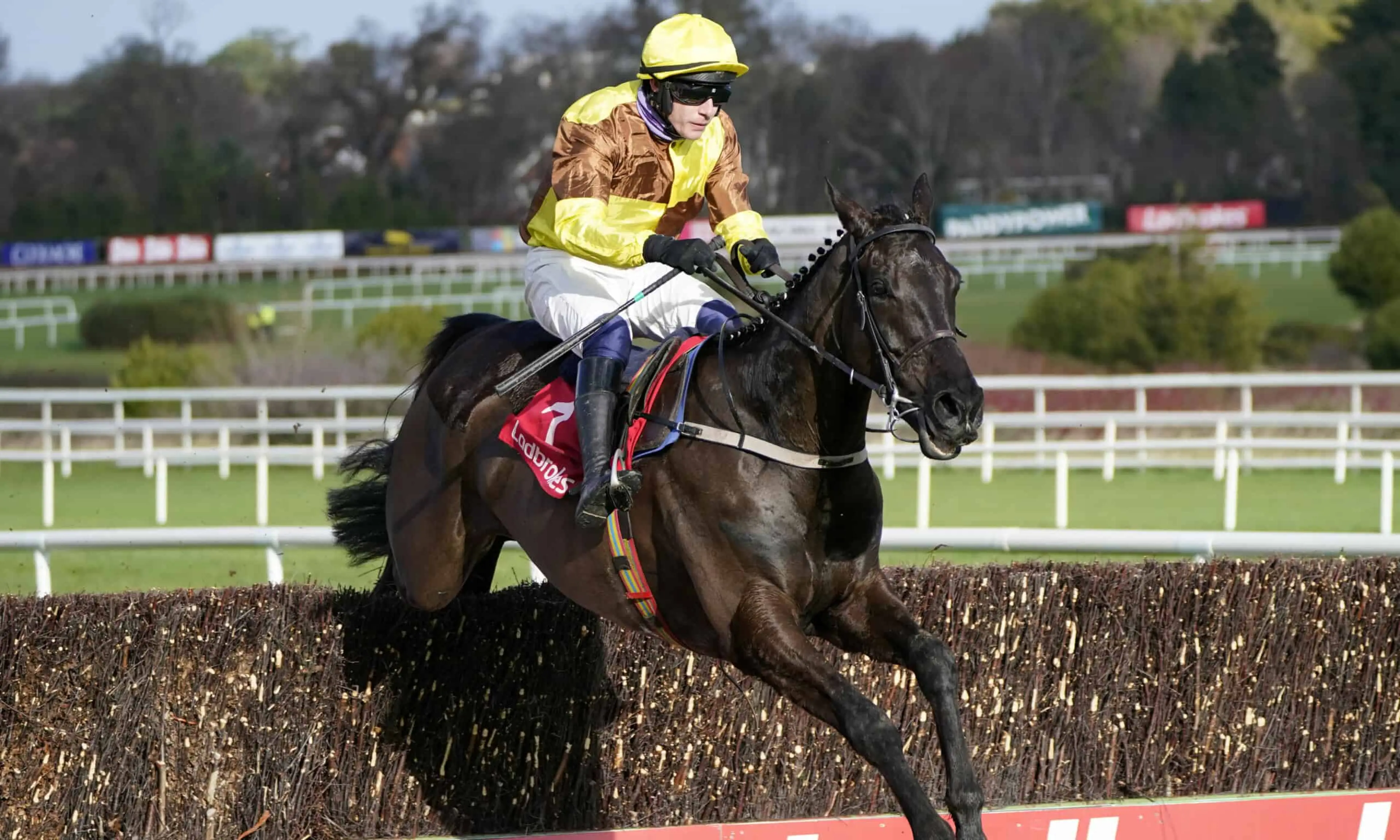 Galopin des Champs, Dublin Racing Festival