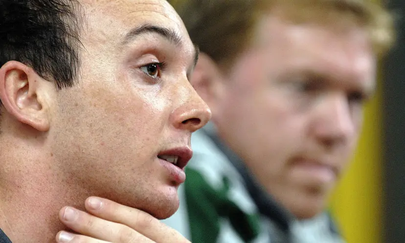 Stephen Ireland, Republic of Ireland