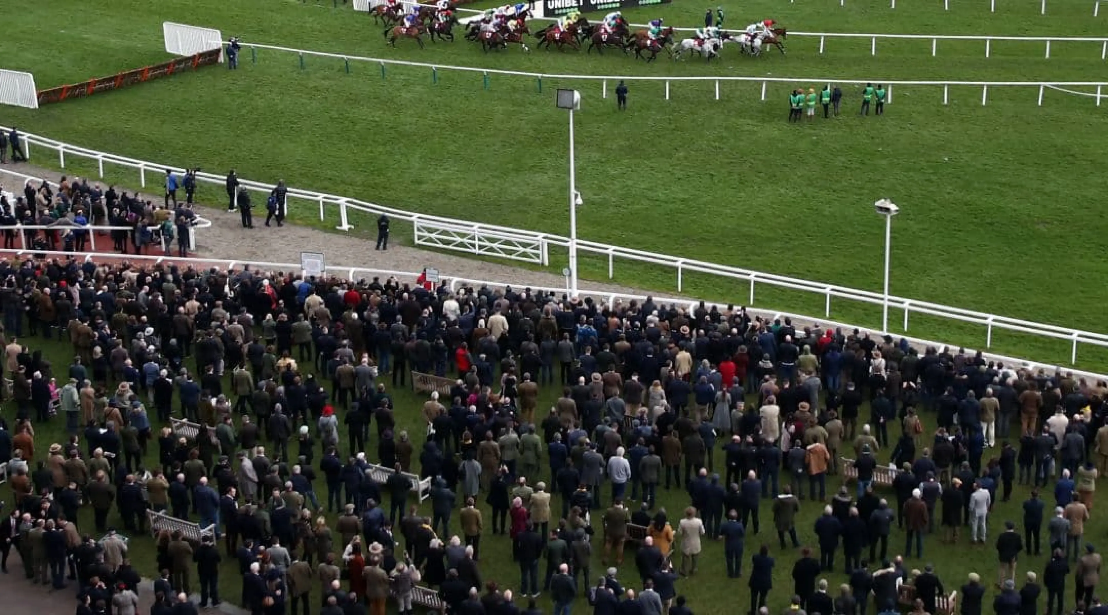Horse Racing, Cheltenham