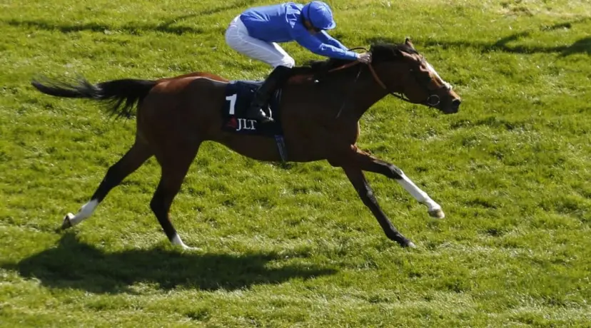 York Festival odds, Juddmonte International stakes odds, barney roy odds, york ebor odds