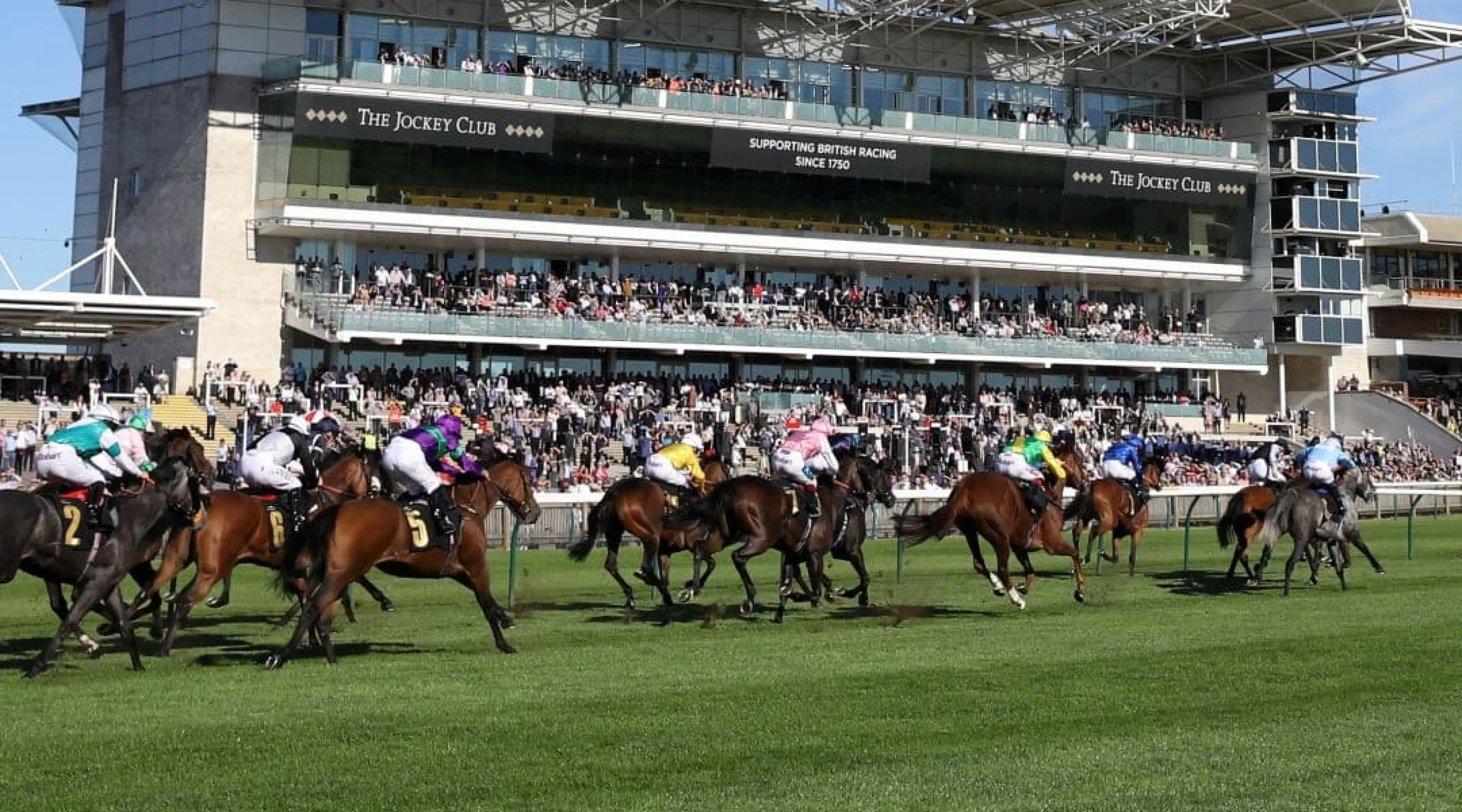 Newmarket Racing