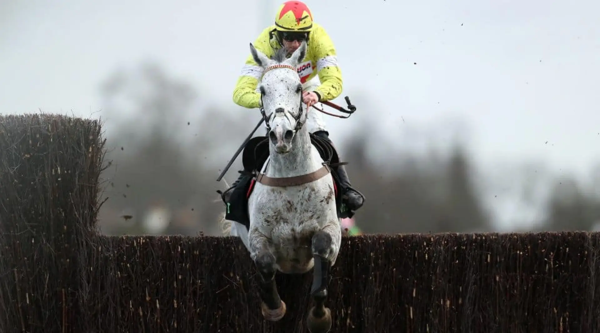 Horse Racing odds, Politologue odds, ITV Racing odds