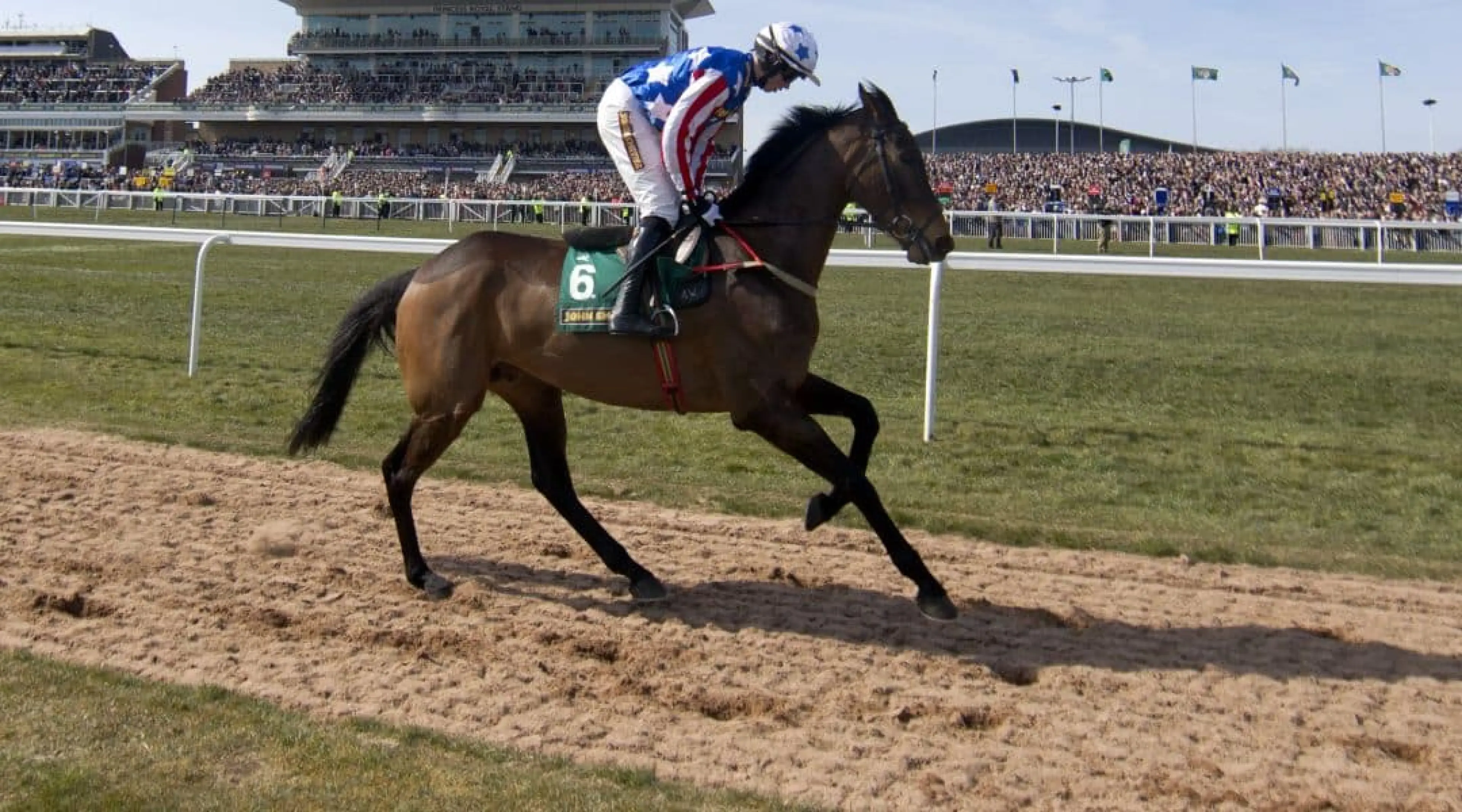 Special Tiara - Champion Chase odds
