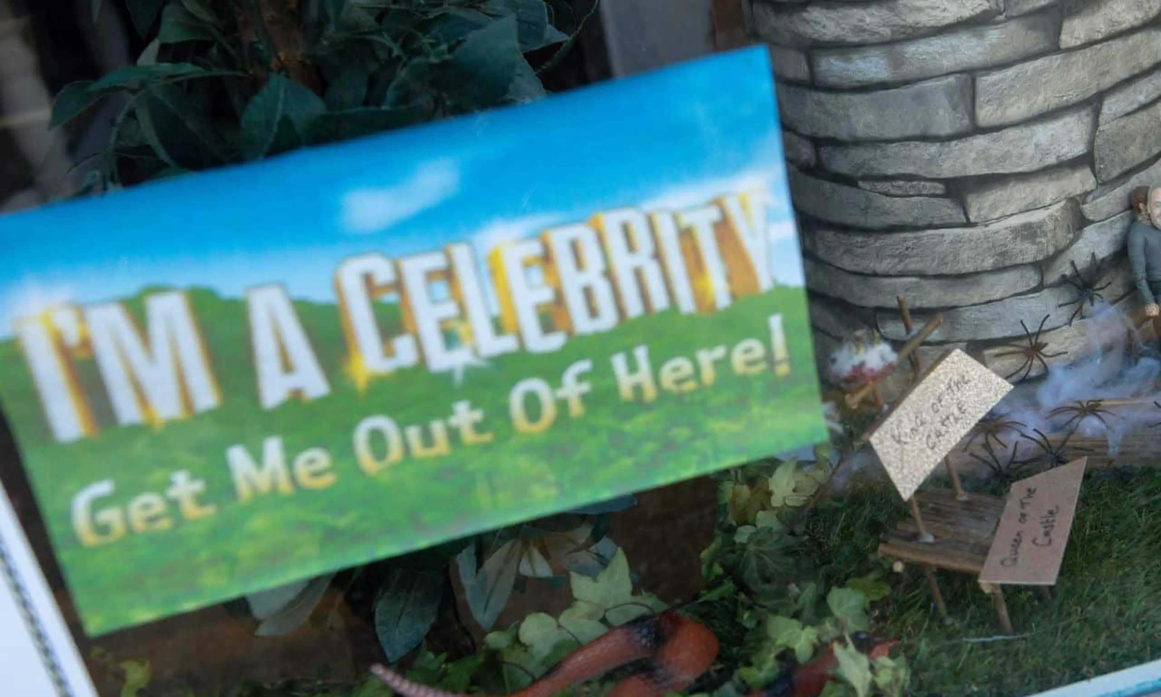 I'm A Celeb