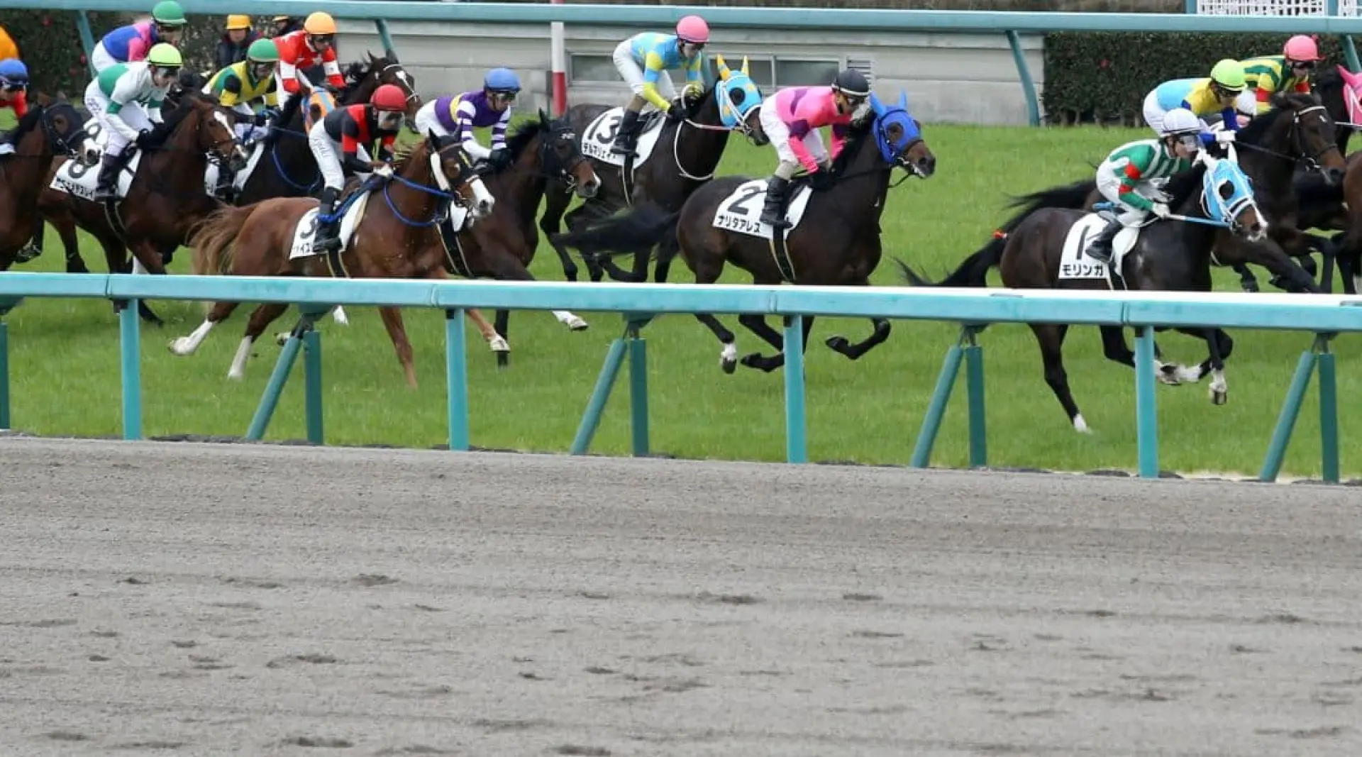 Horse Racing, Japan
