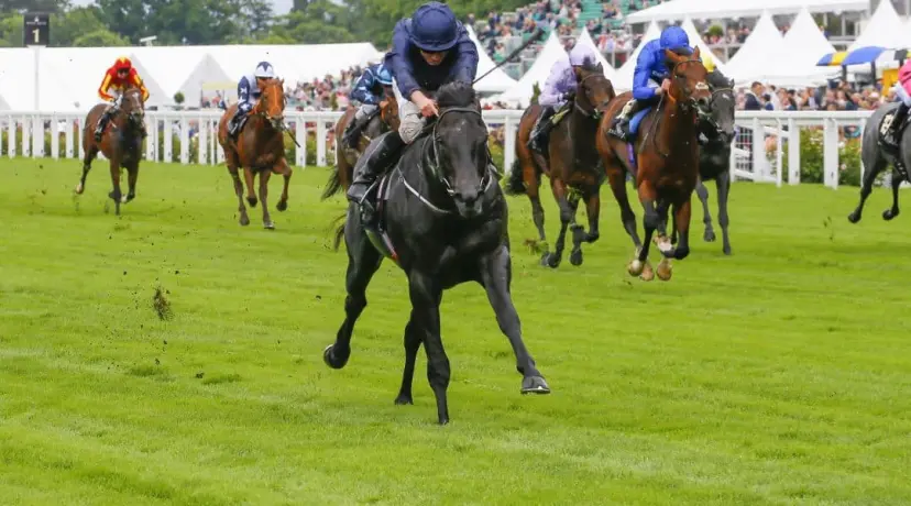 Royal Ascot odds