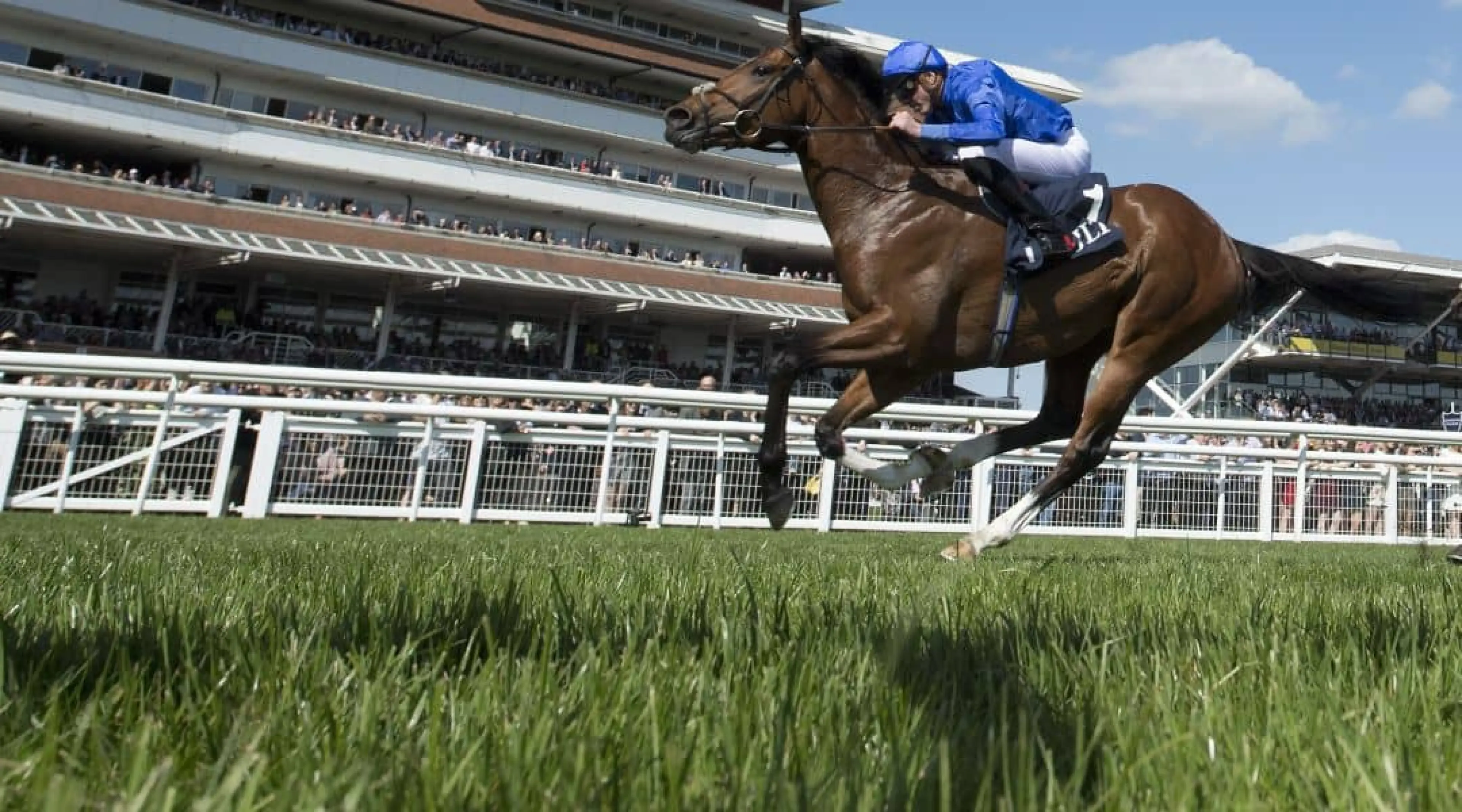 Royal Ascot odds
