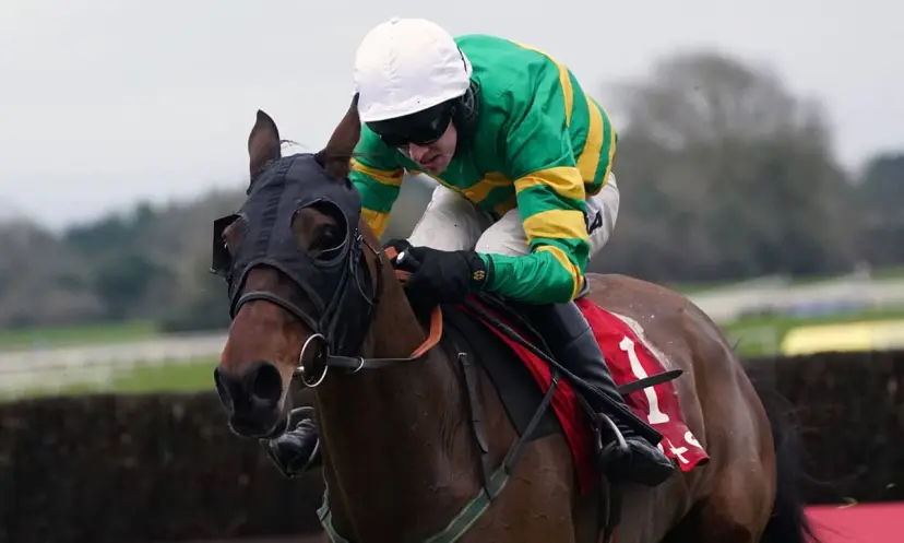 Any Second Now, Grand National, horse racing